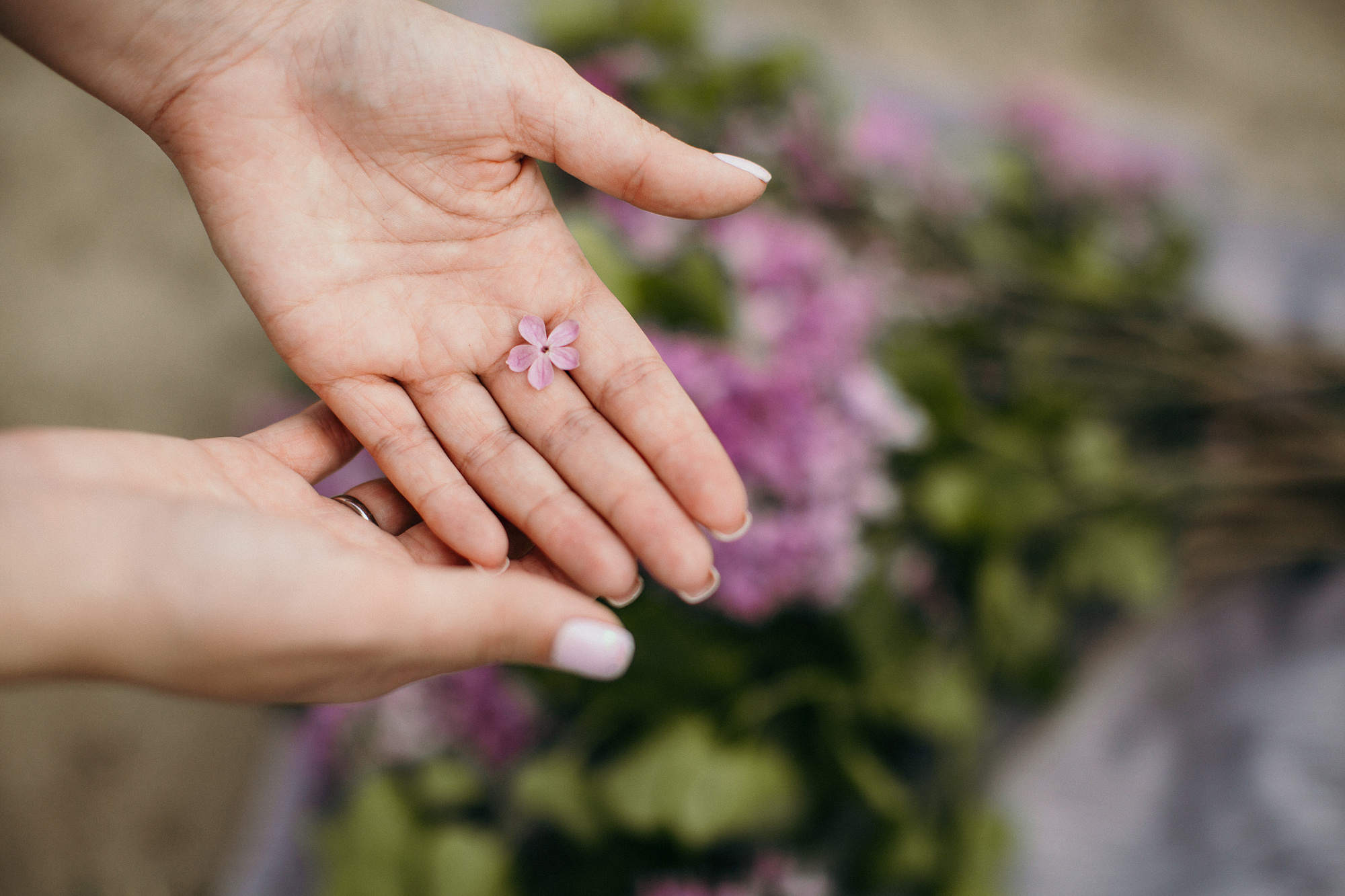 ПЯТИЛИСТНИК. Wedding and family photographer in Vladivostok Anton Blokhin