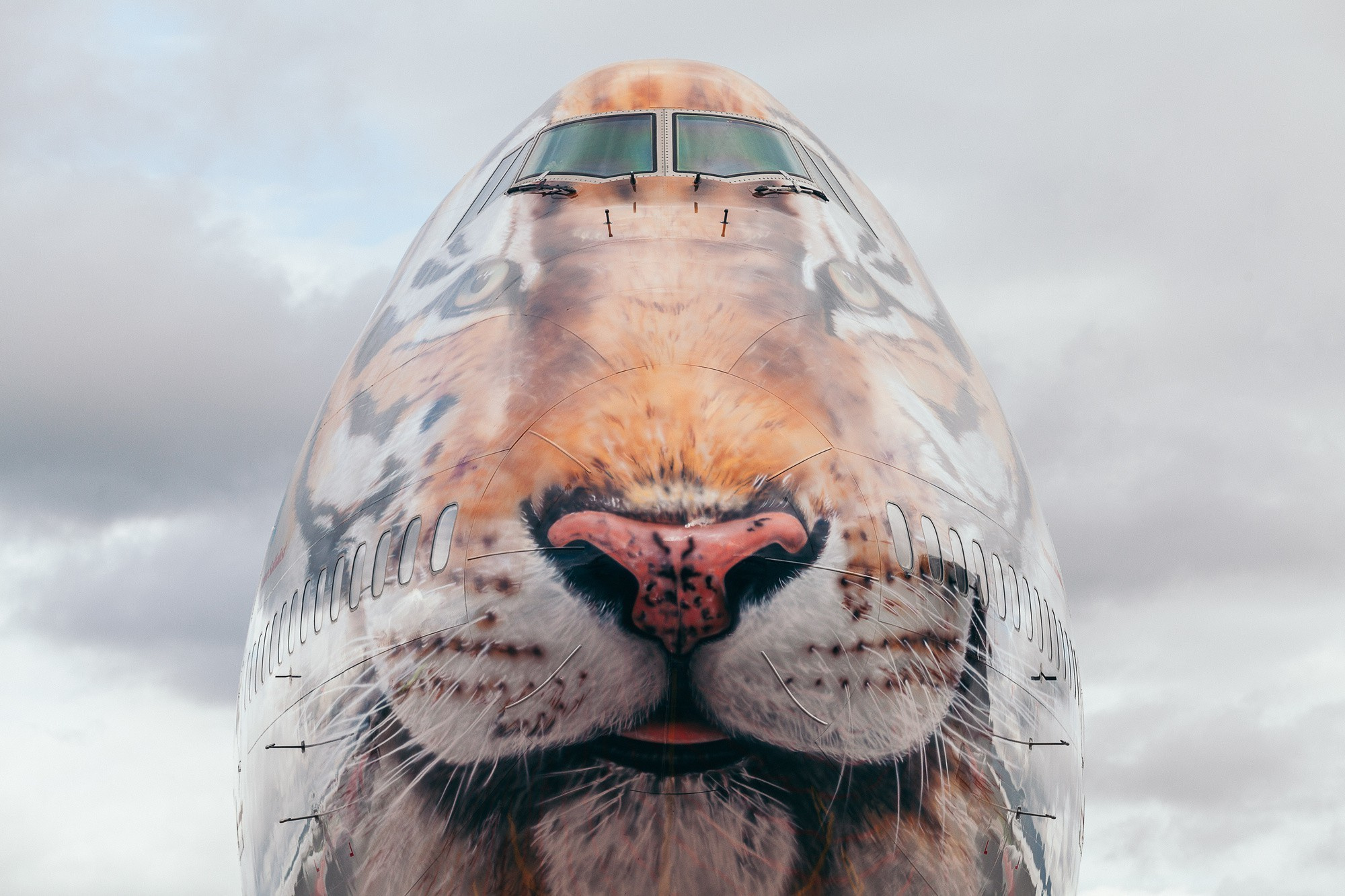 Авиаспоттинг в аэропорту Владивостока. Wedding and family photographer in Vladivostok Anton Blokhin