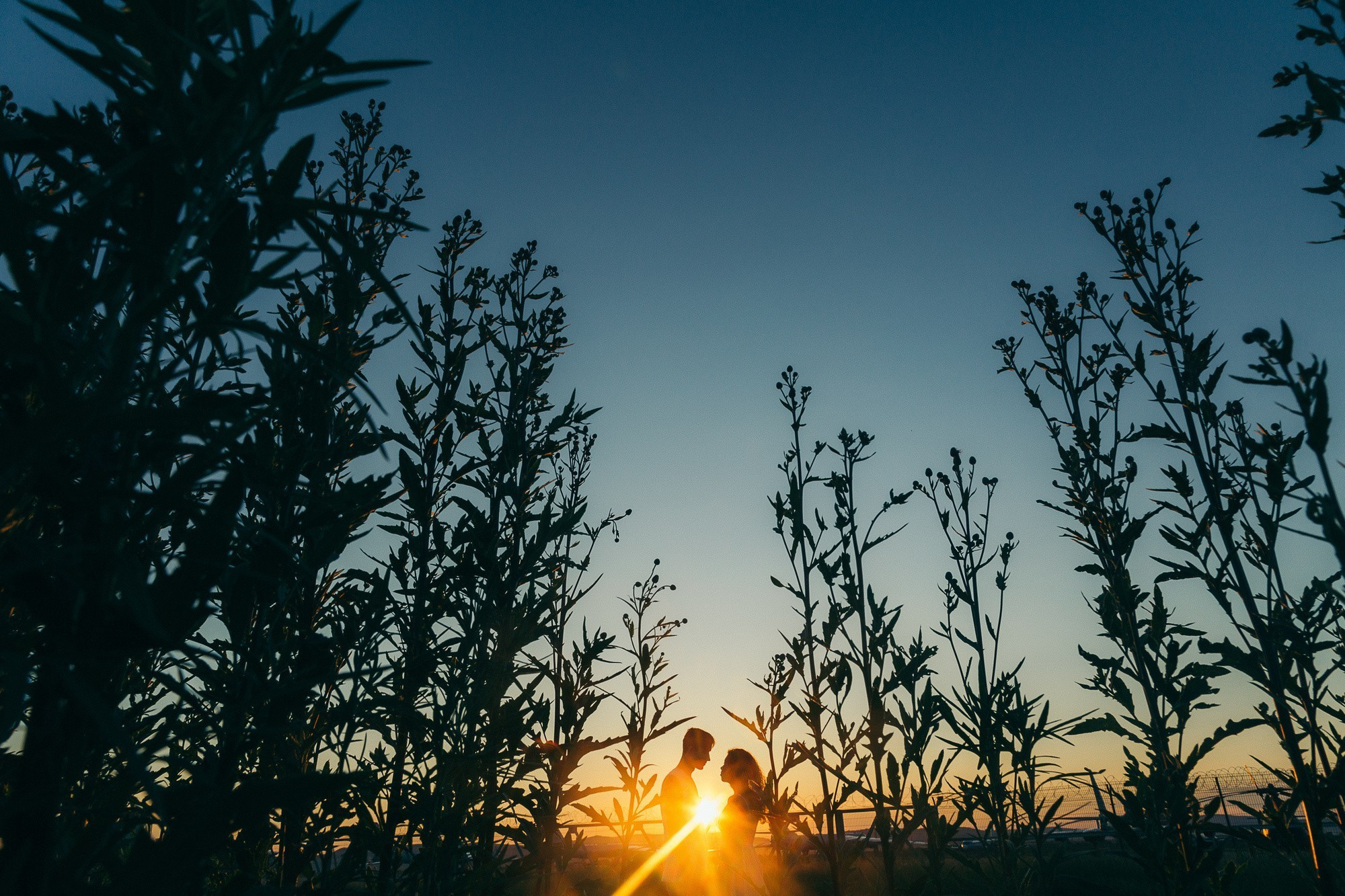 НА КРЫЛЬЯХ ЛЮБВИ!. Фотограф во Владивостоке Антон Блохин