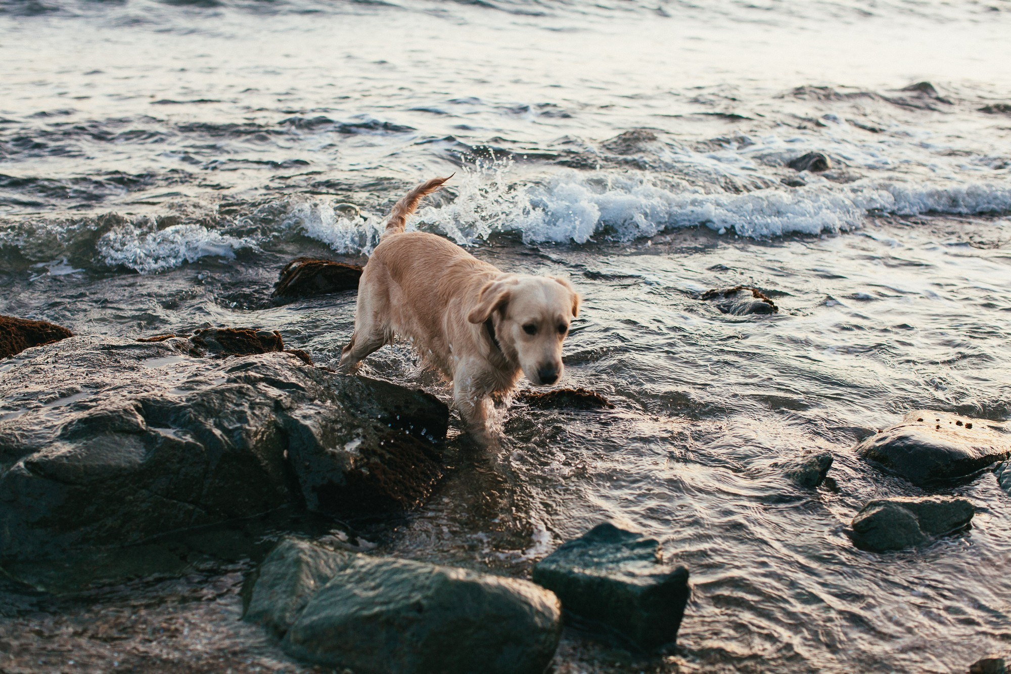 FAMILY STORY. Фотограф во Владивостоке Антон Блохин