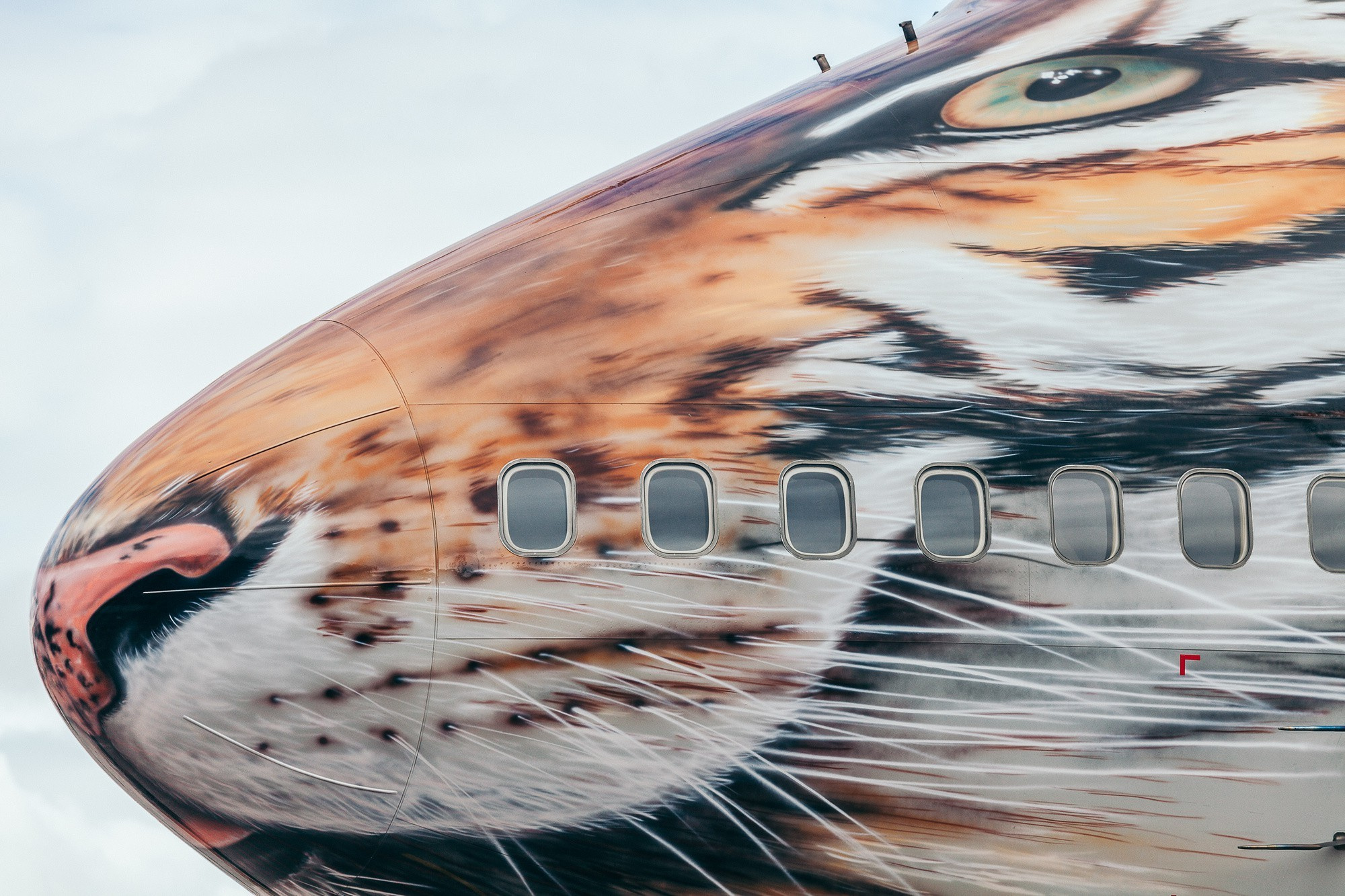 Авиаспоттинг в аэропорту Владивостока. Wedding and family photographer in Vladivostok Anton Blokhin