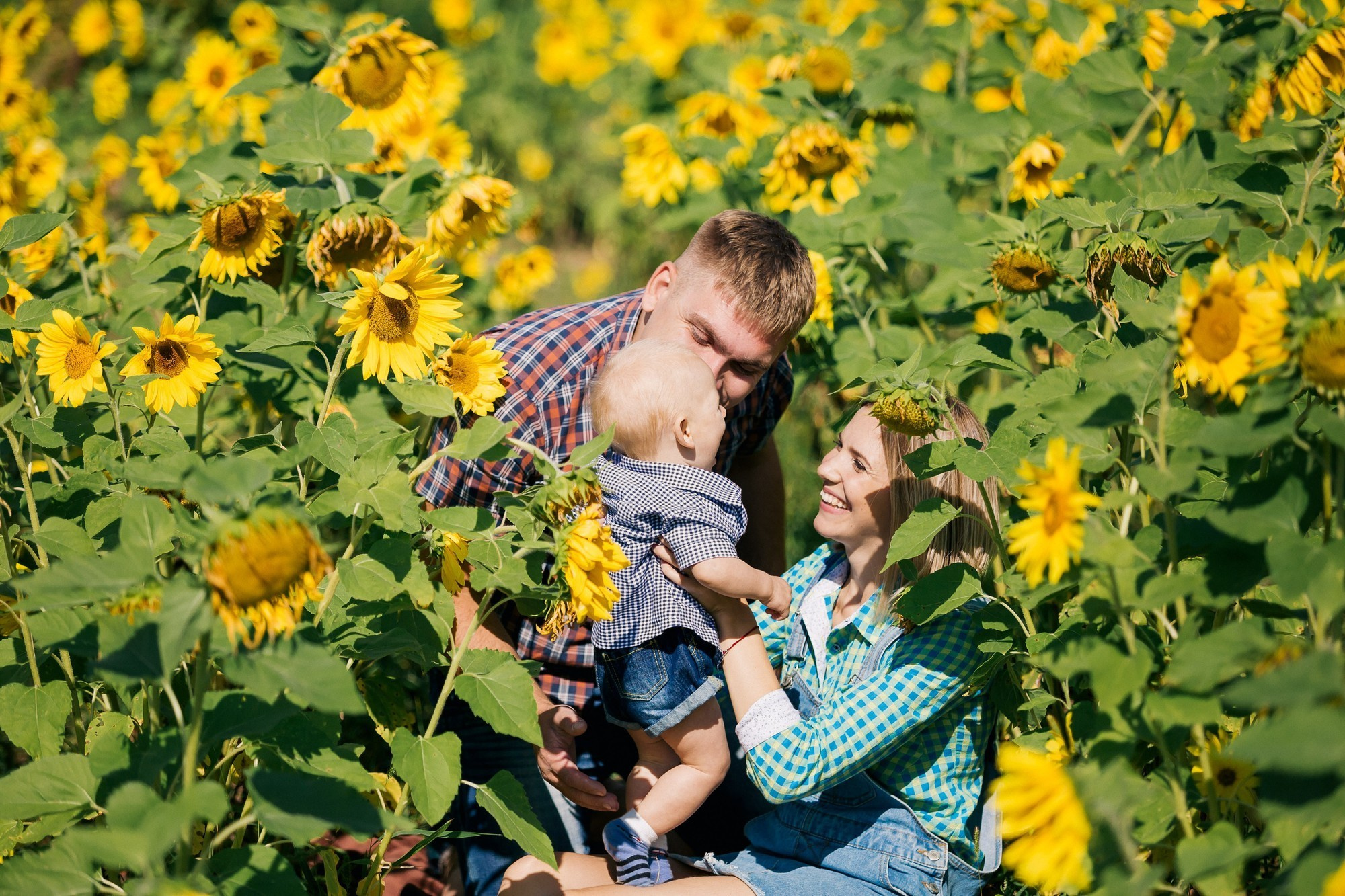 Фотосессия в подсолнуховом поле во владивостоке. Фотограф во Владивостоке Антон Блохин