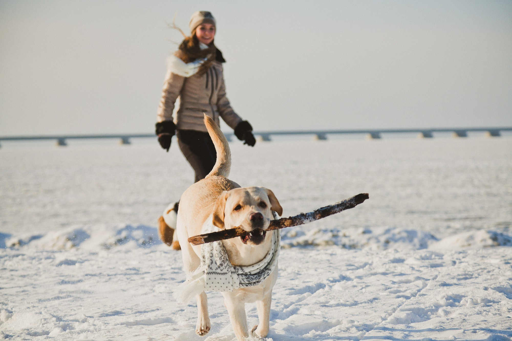 ЛЮБОВЬ НА ТРОИХ). Wedding and family photographer in Vladivostok Anton Blokhin