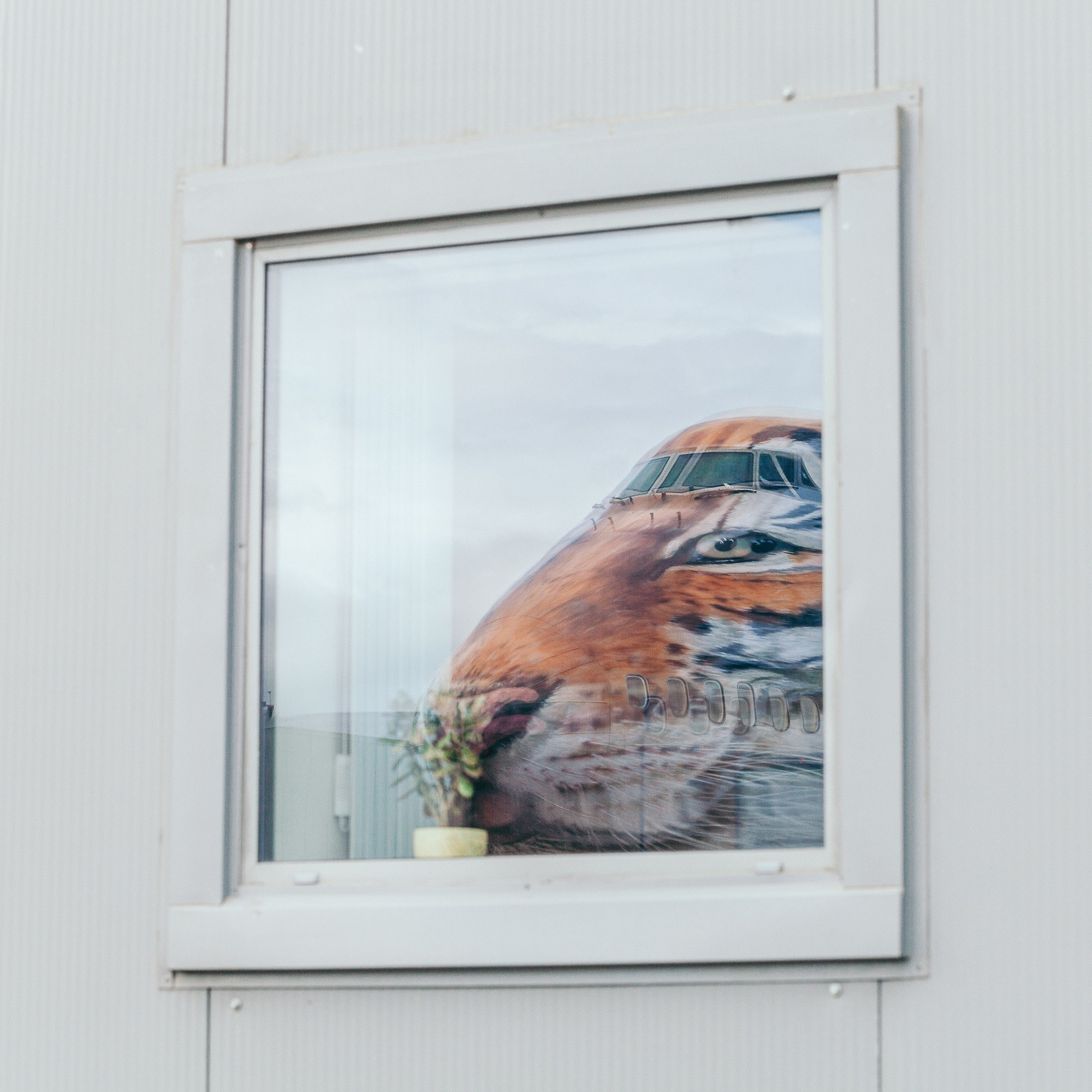 Авиаспоттинг в аэропорту Владивостока. Wedding and family photographer in Vladivostok Anton Blokhin