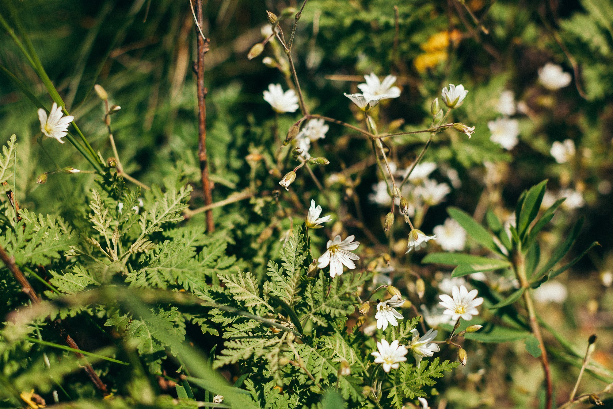 МАКСИМ И АНАСТАСИЯ. Фотограф во Владивостоке Антон Блохин