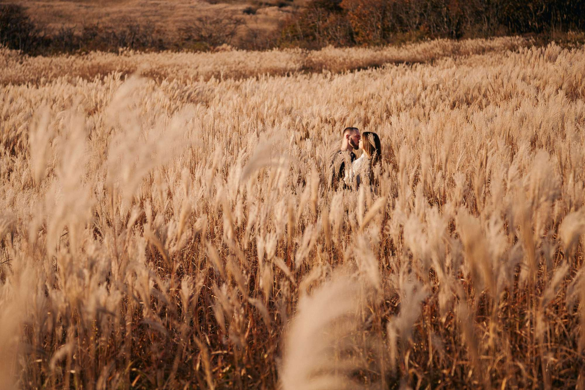 ЗОЛОТАЯ ОСЕНЬ!. Фотограф во Владивостоке Антон Блохин