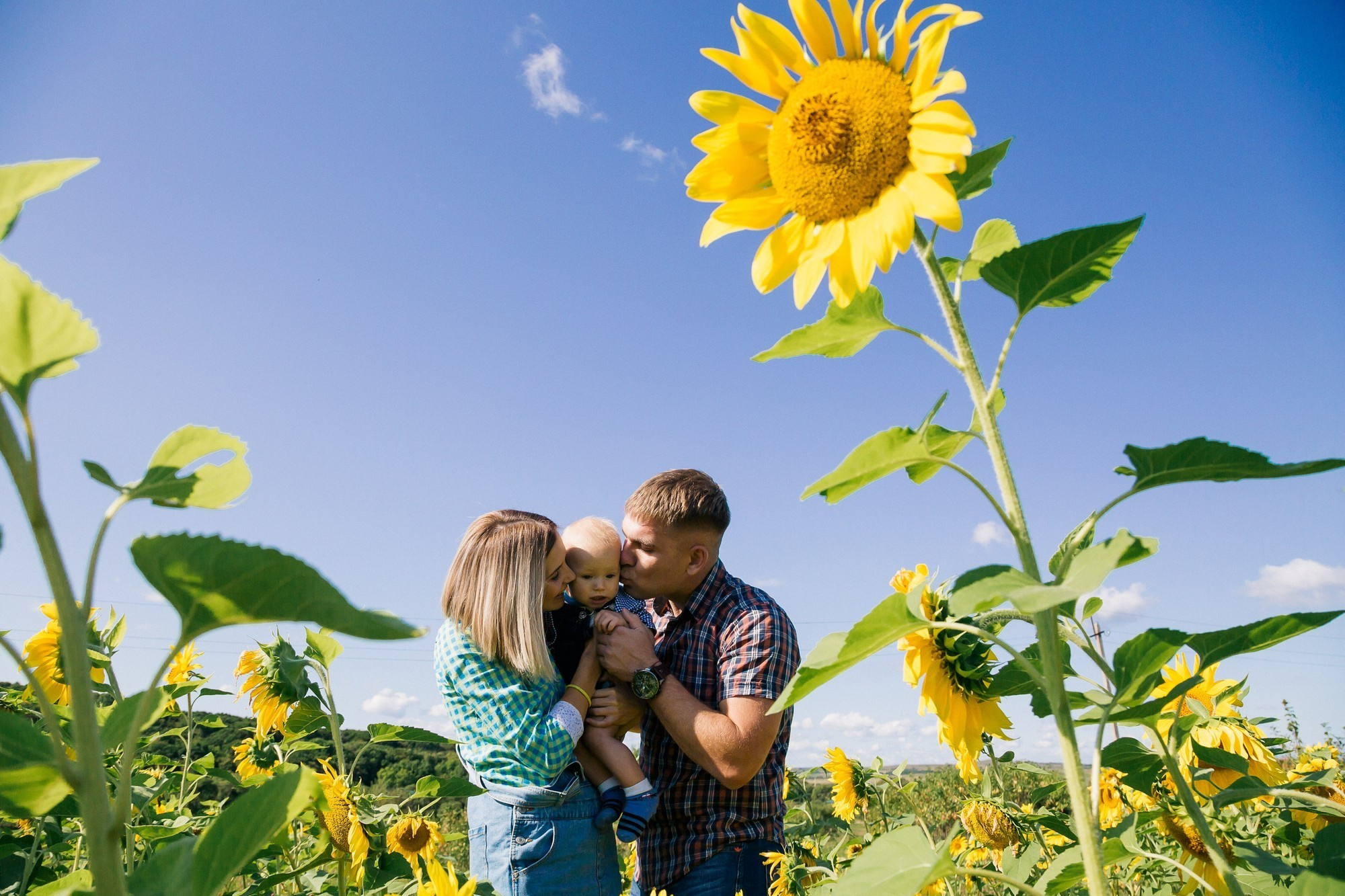 Фотосессия в подсолнуховом поле во владивостоке. Фотограф во Владивостоке Антон Блохин