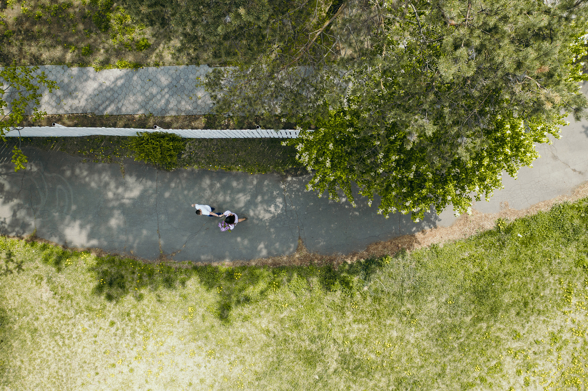 ПЯТИЛИСТНИК. Wedding and family photographer in Vladivostok Anton Blokhin