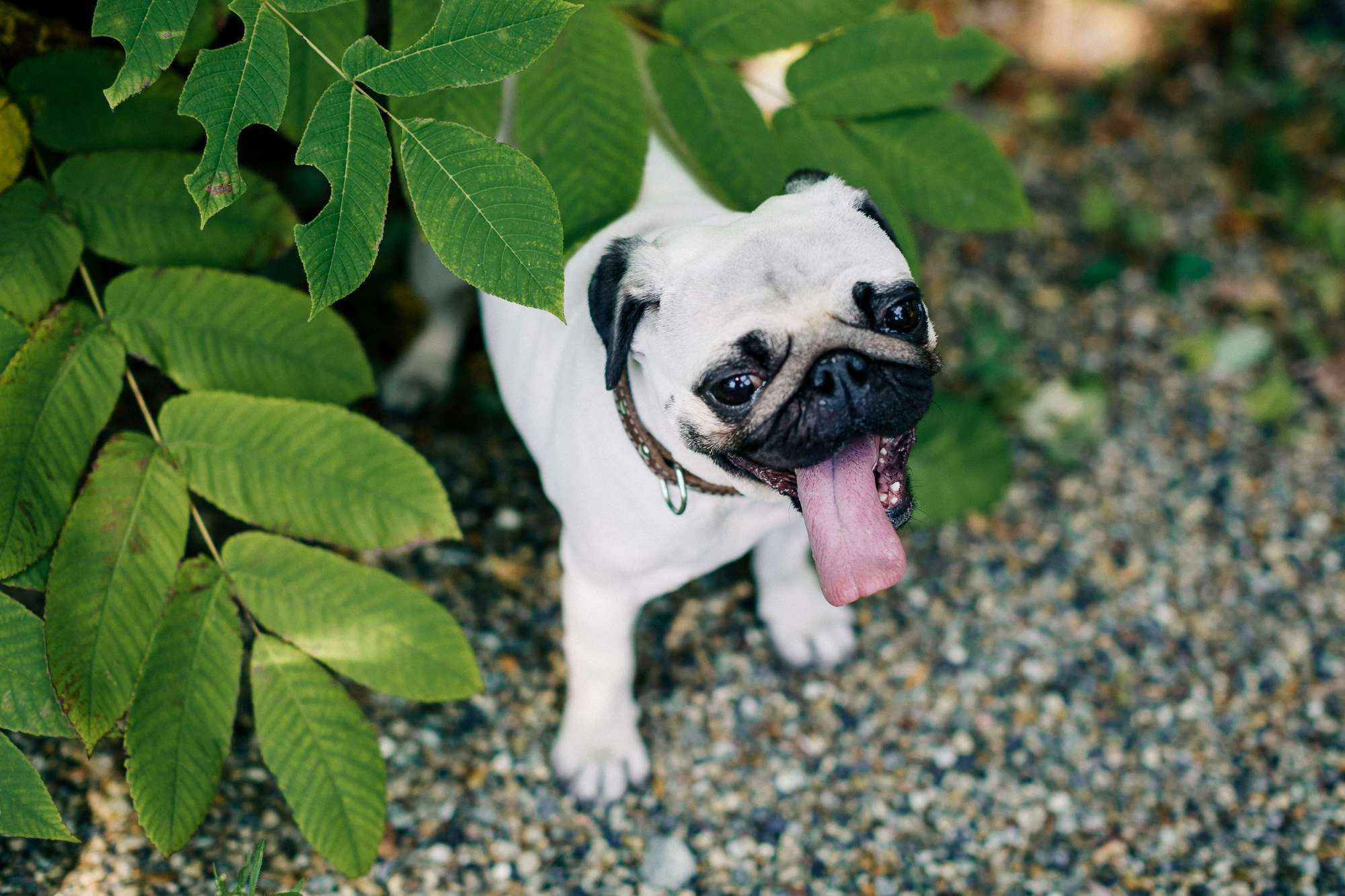 ВАЛЕРИЙ И ОЛЕСЯ | ВЛАДИВОСТОК. Фотограф во Владивостоке Антон Блохин