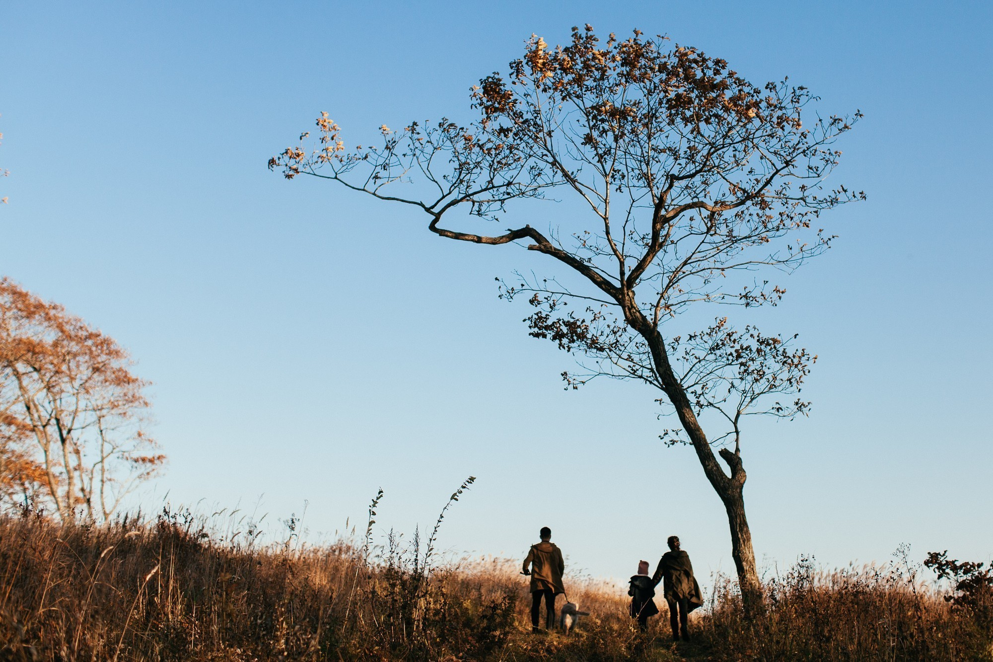 FAMILY STORY. Фотограф во Владивостоке Антон Блохин