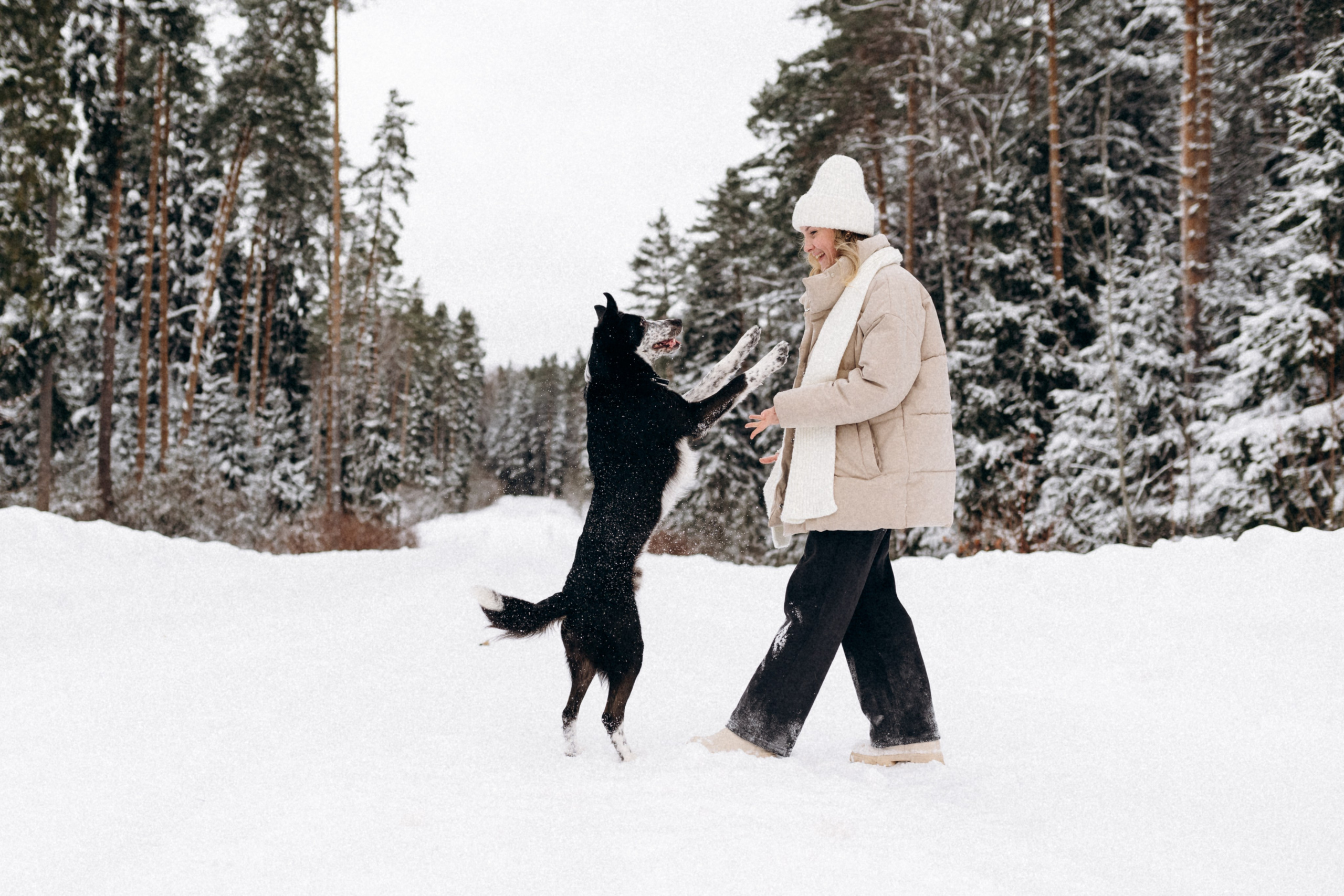 Аня и Милан. Фотограф анималист в Москве Ольга Агушева