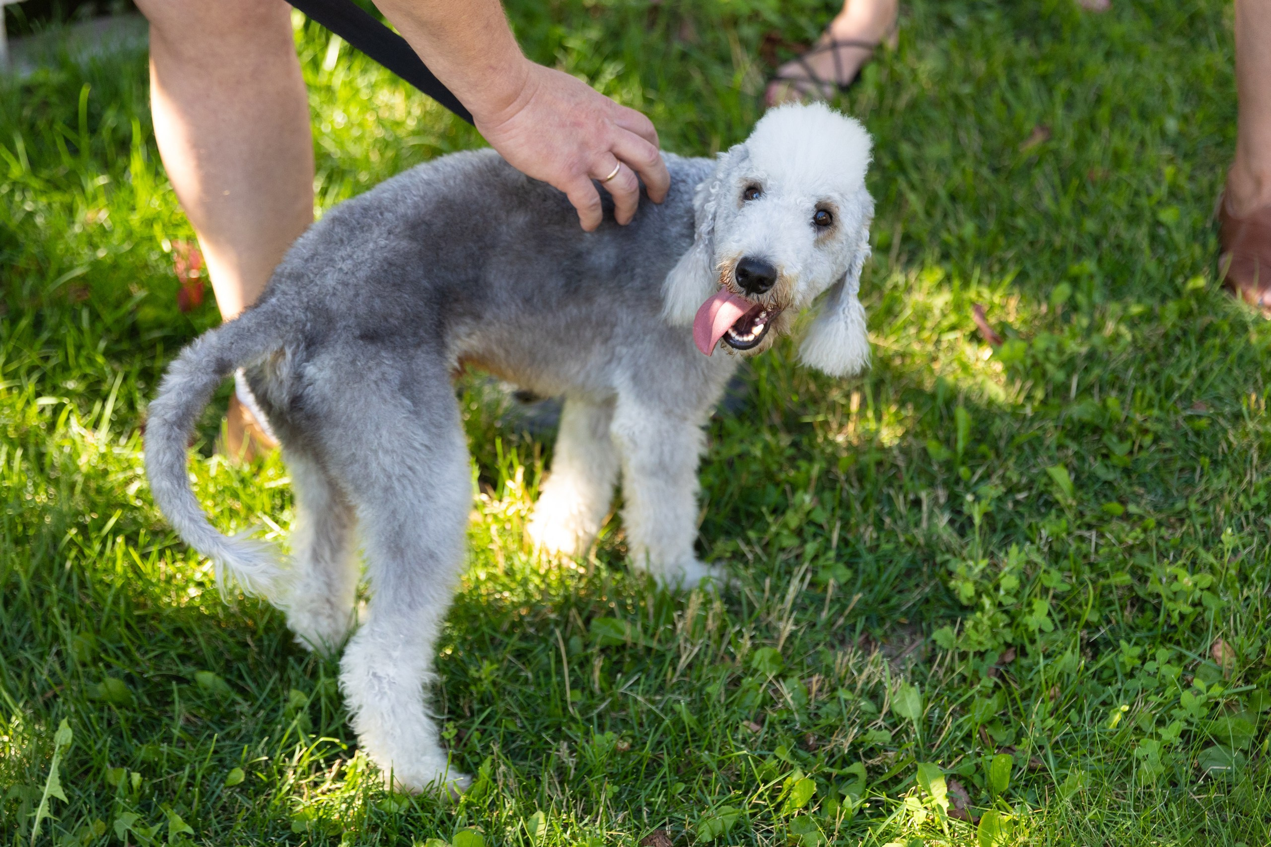 Корпоративная экскурсия по Замоскоречью. Свадебный и семейный фотограф