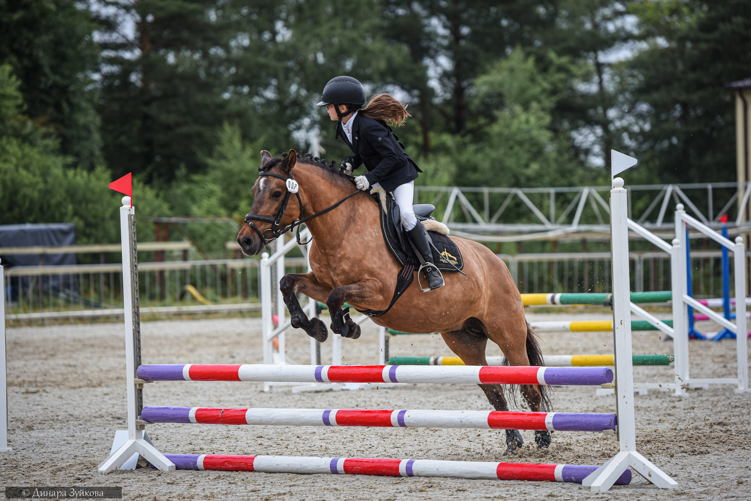 ПФО по конкуру, Конкурный триколор — КЭК Ассамблея. Мотофотограф в Нижнем Новгороде Динара Зуйкова