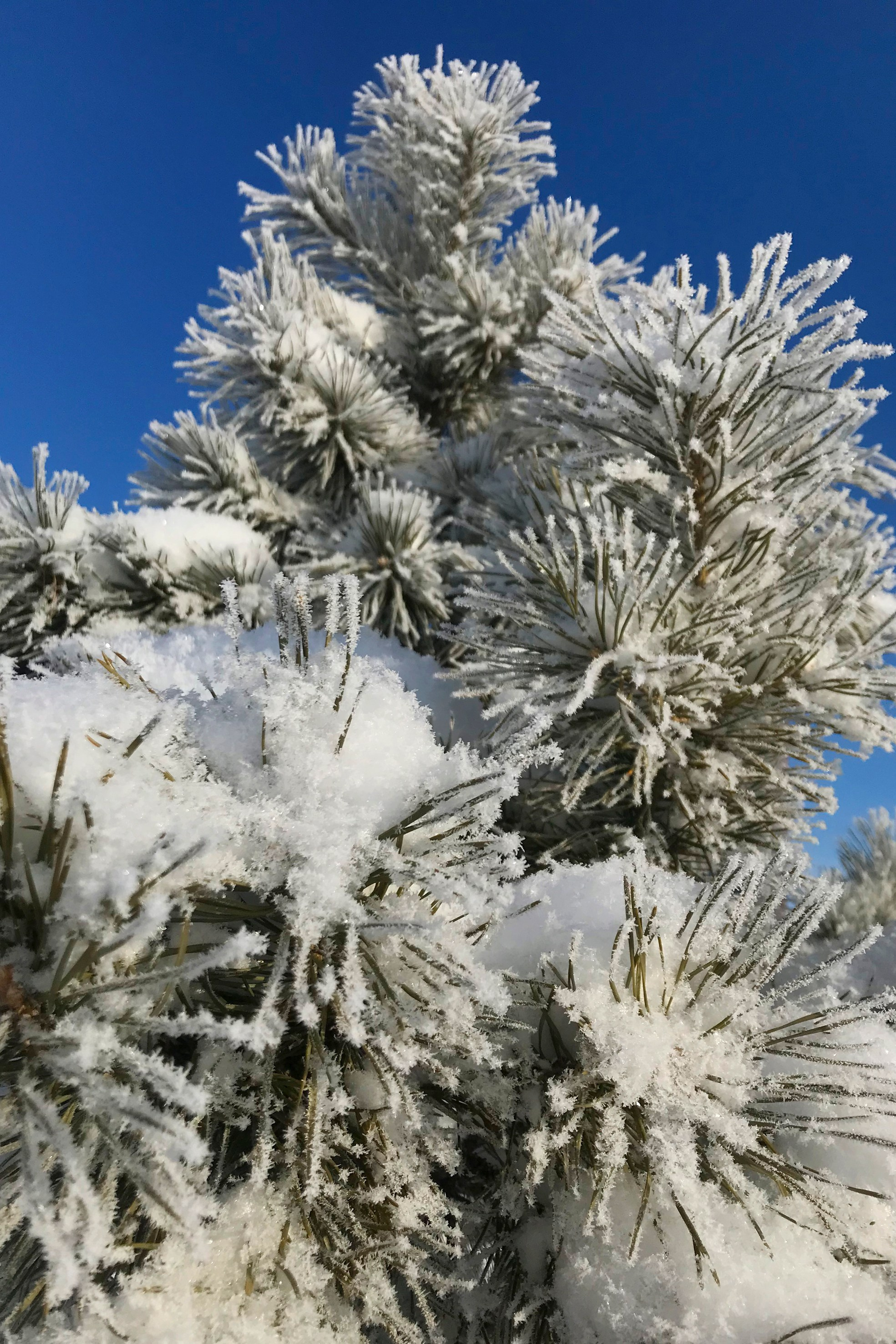 Природа Хабаровского края. Команда фотографов Кристины Ивановой