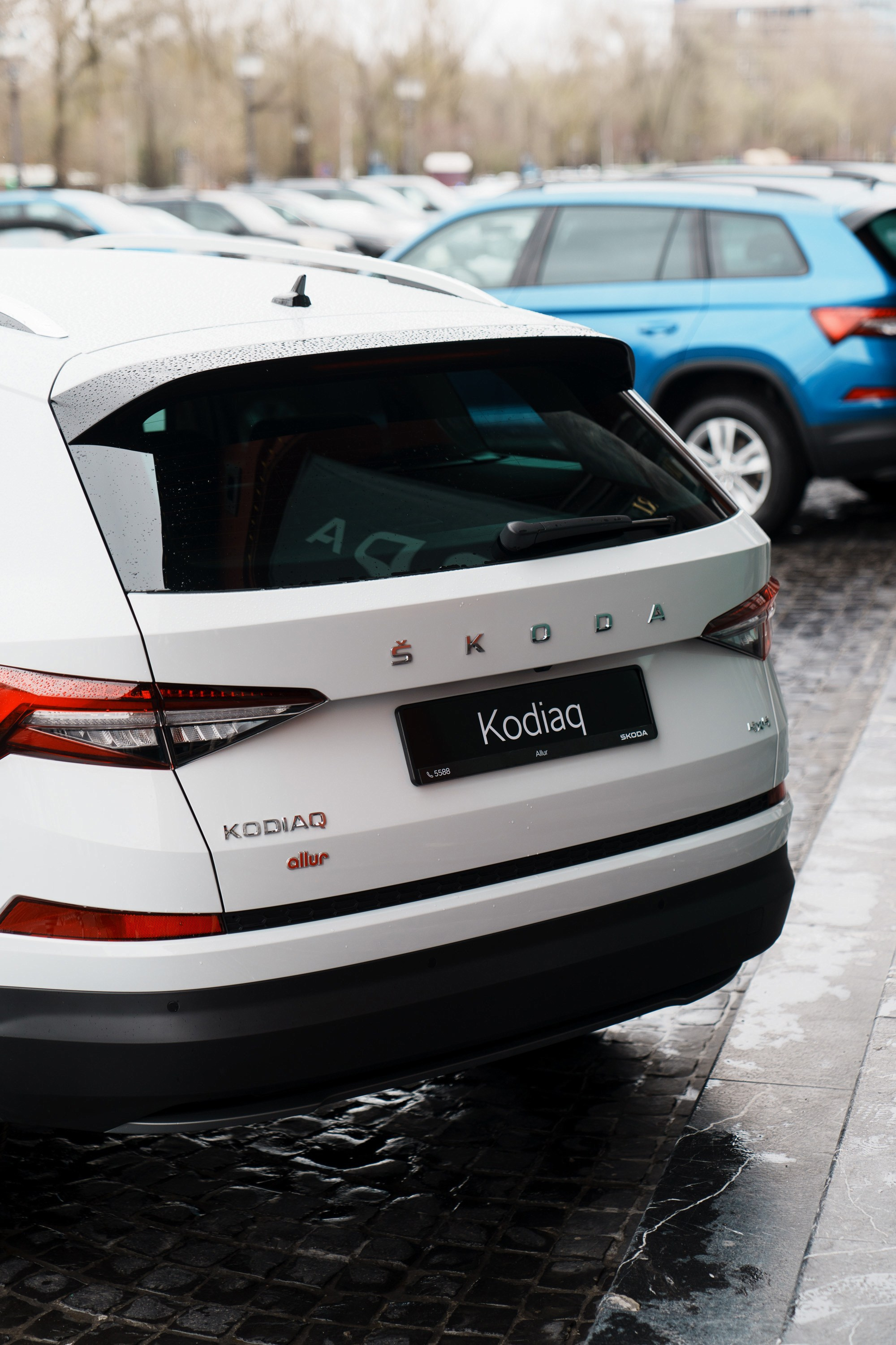 Allur Skoda. Фотограф TAULAN_1