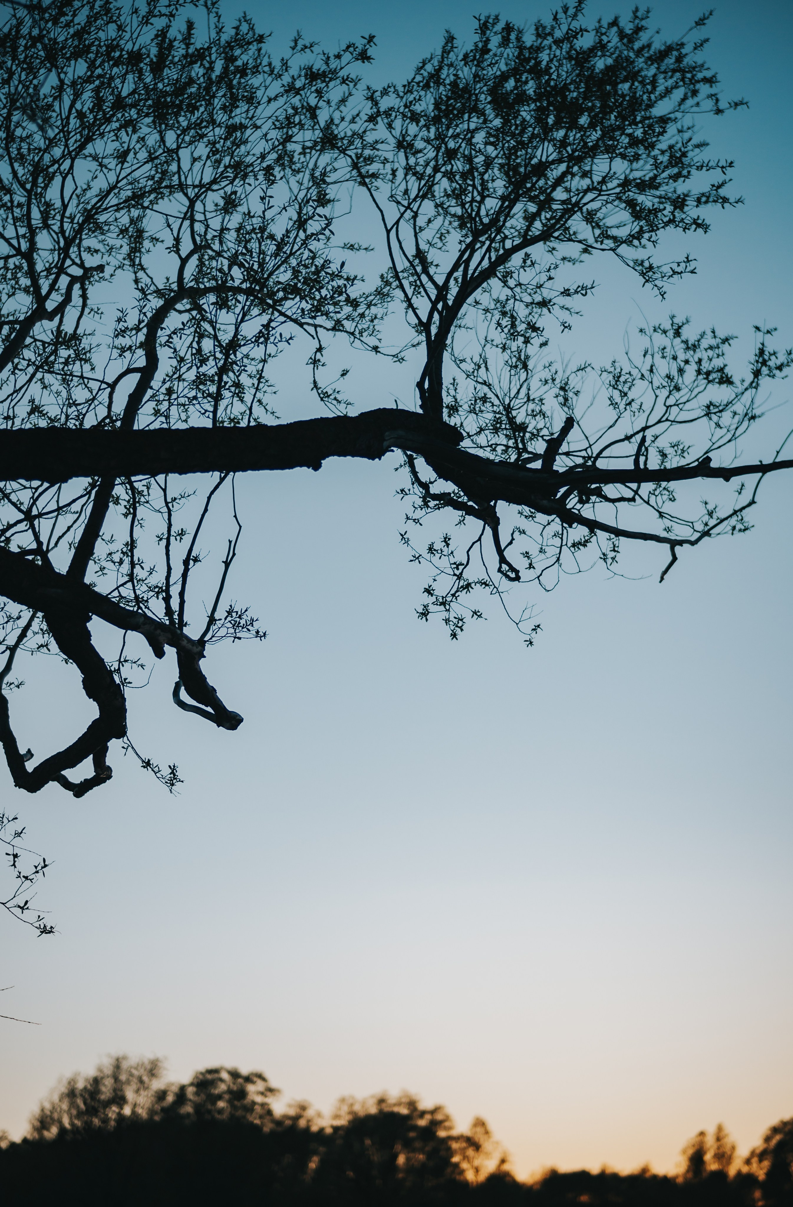 Wallpapers. Фотограф Казань