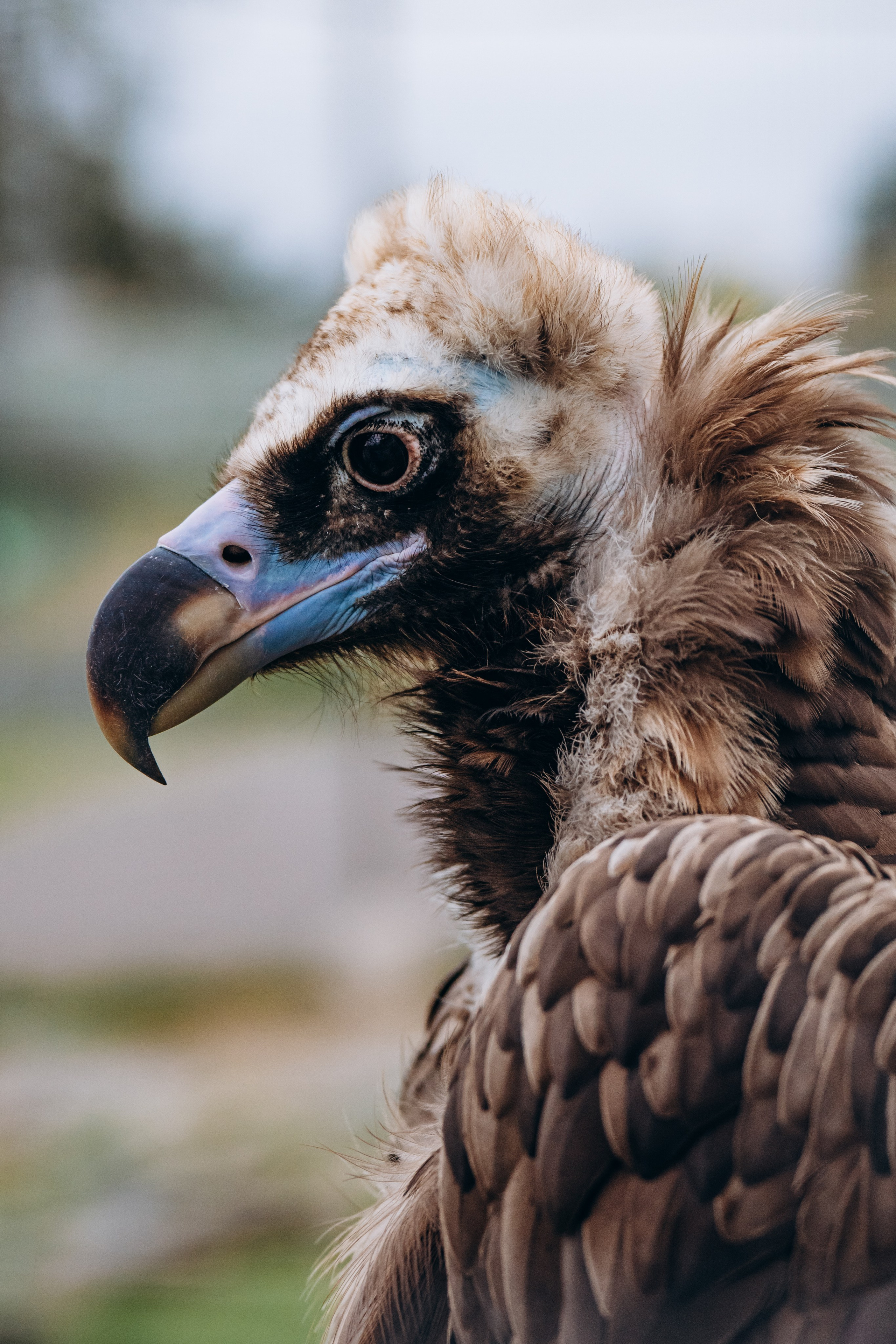 СЕВЕР. Event фотограф Степанова Александра