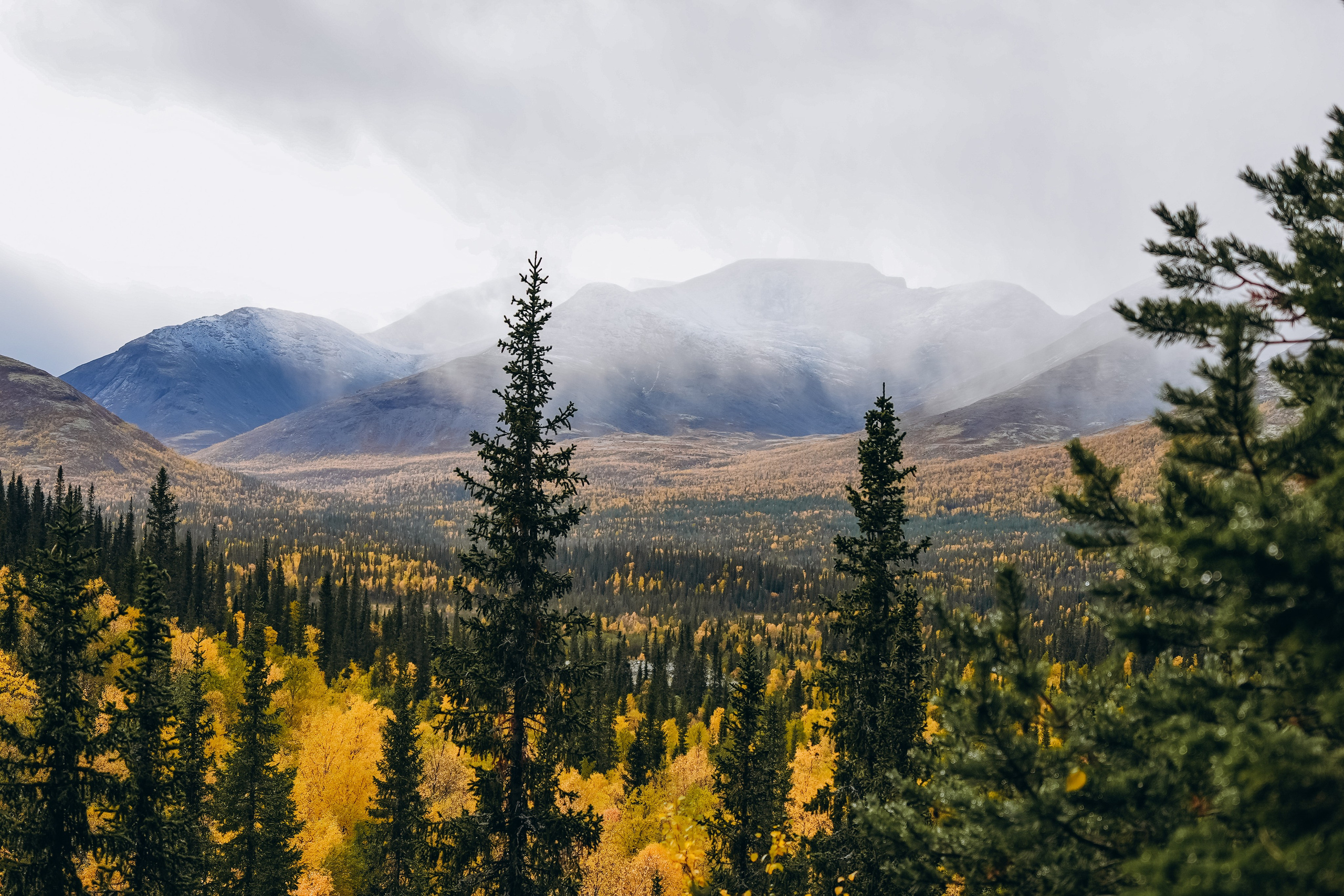 СЕВЕР. Event фотограф Степанова Александра