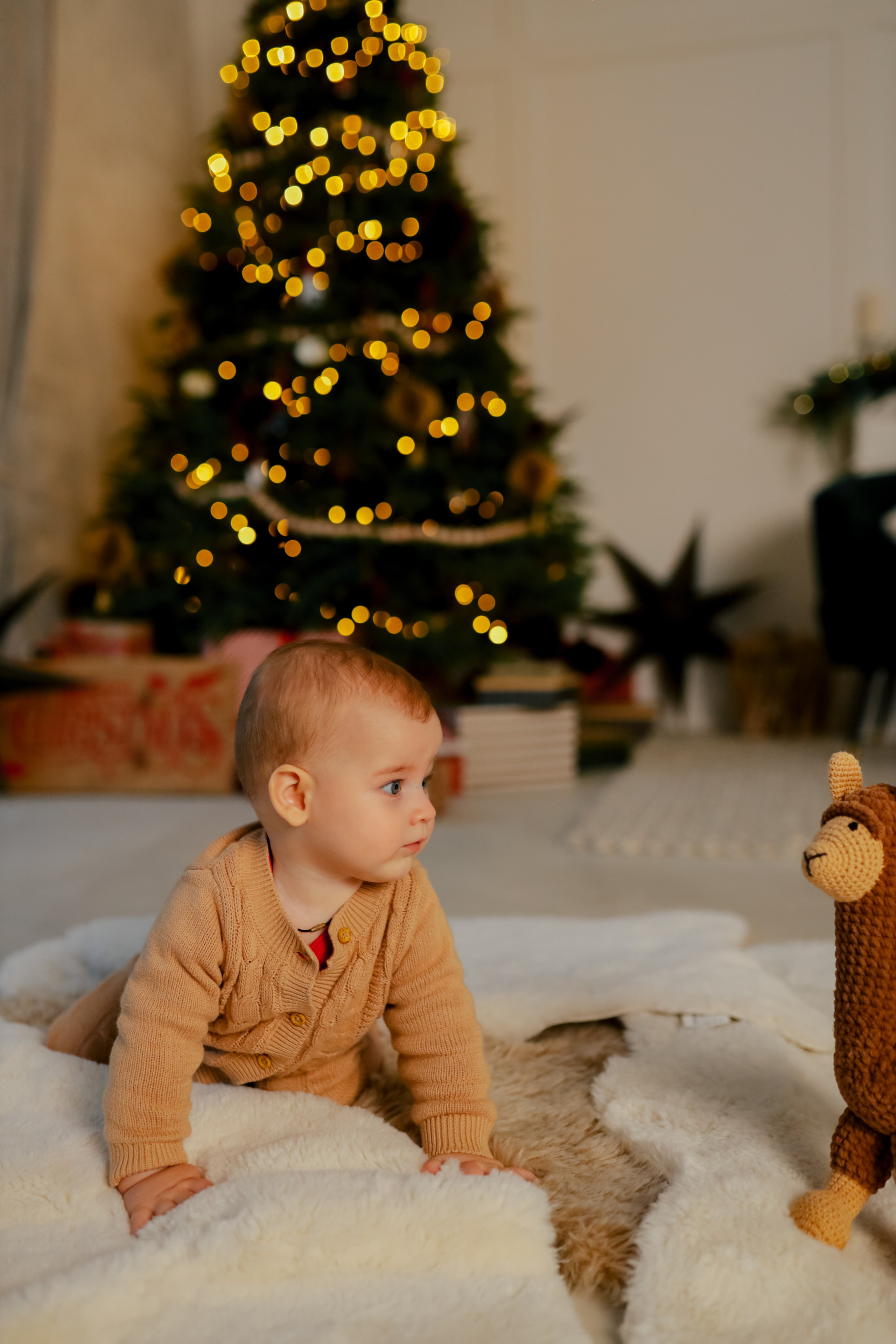 Теплое семейное новогоднее. Свадебный и семейный фотограф в Варшаве