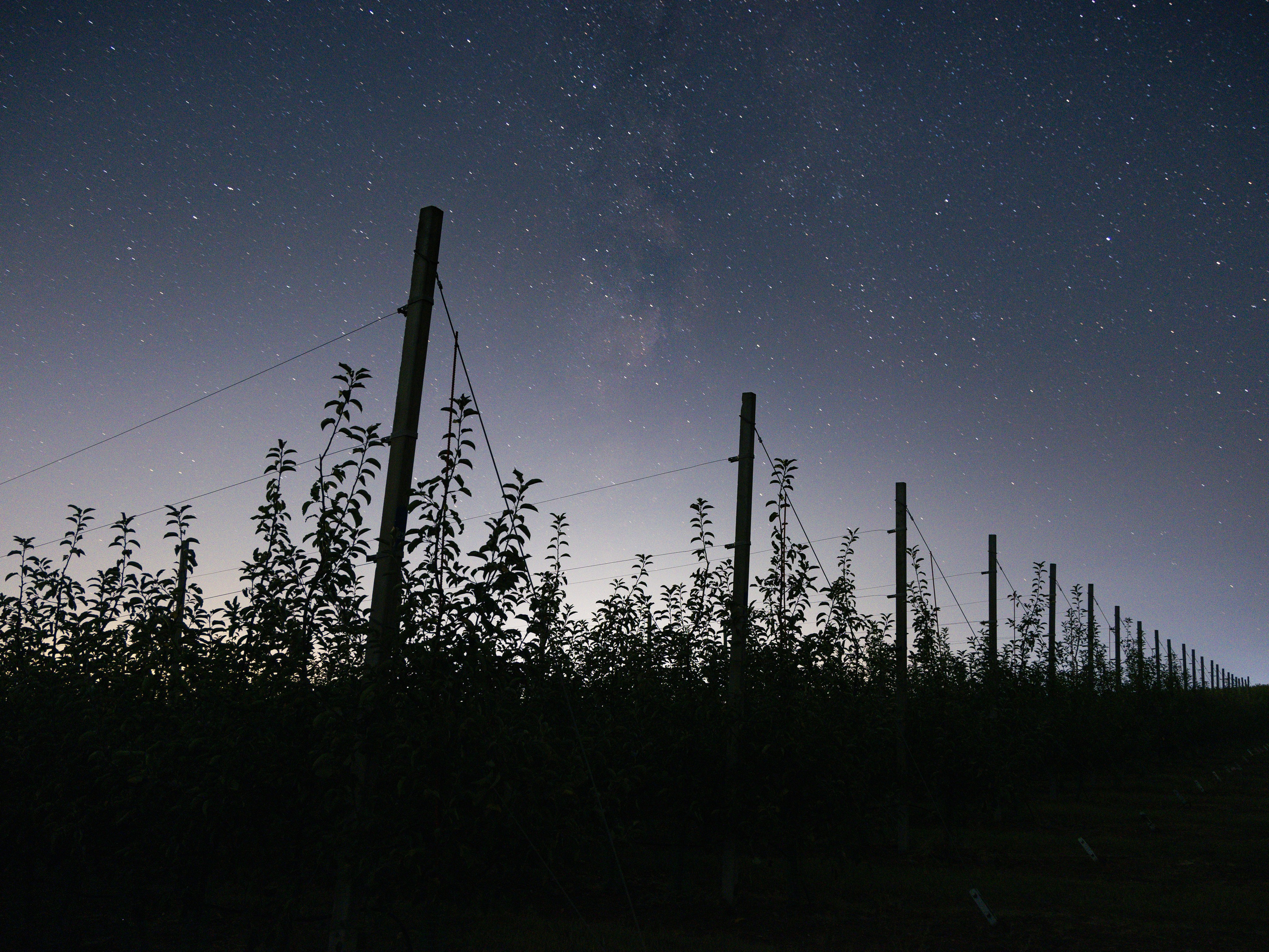 Domik в саду. Артем Корнев Фотограф