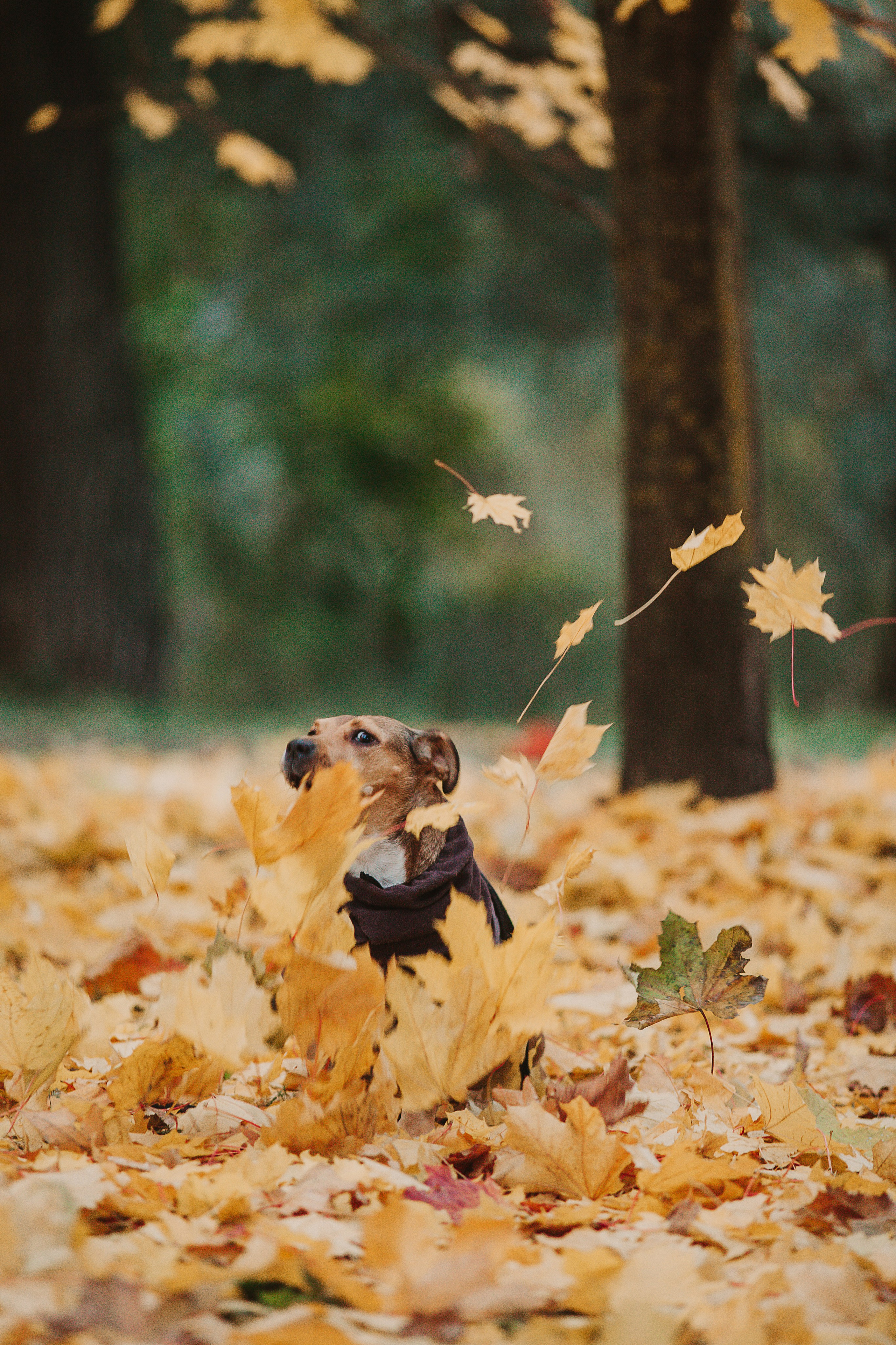 Тёма и Таня. Aourica — Фотограф Ольга, Санкт-Петербург, Москва, Гагарин