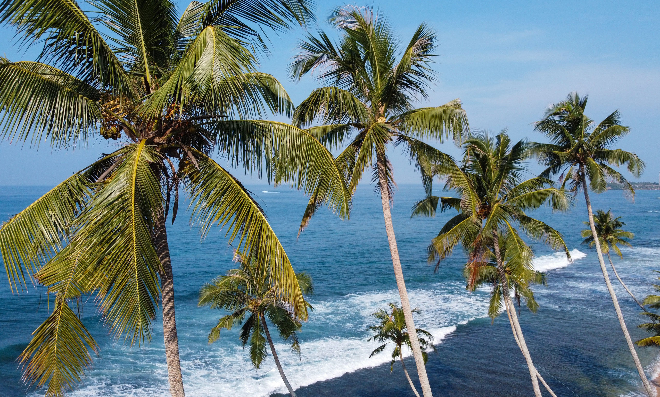 Остров Шри-Ланка. Фотограф Сергей Кишкель Дананг Нячанг Фукуок
