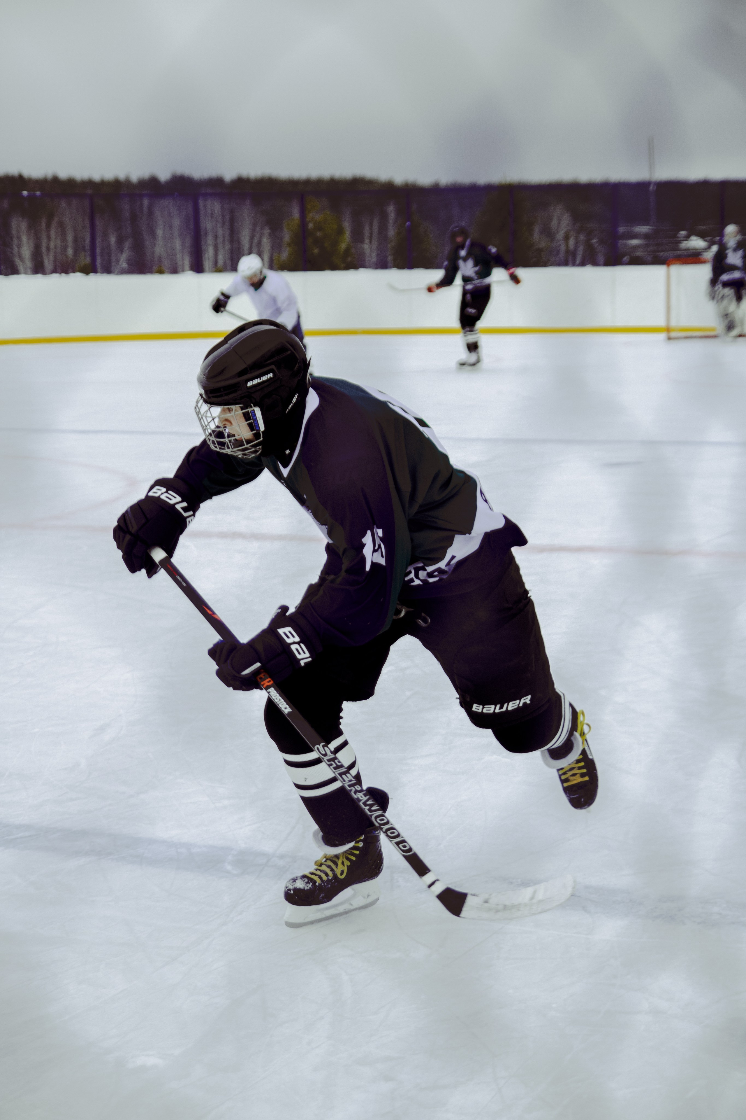 Хоккей 29.12.2024