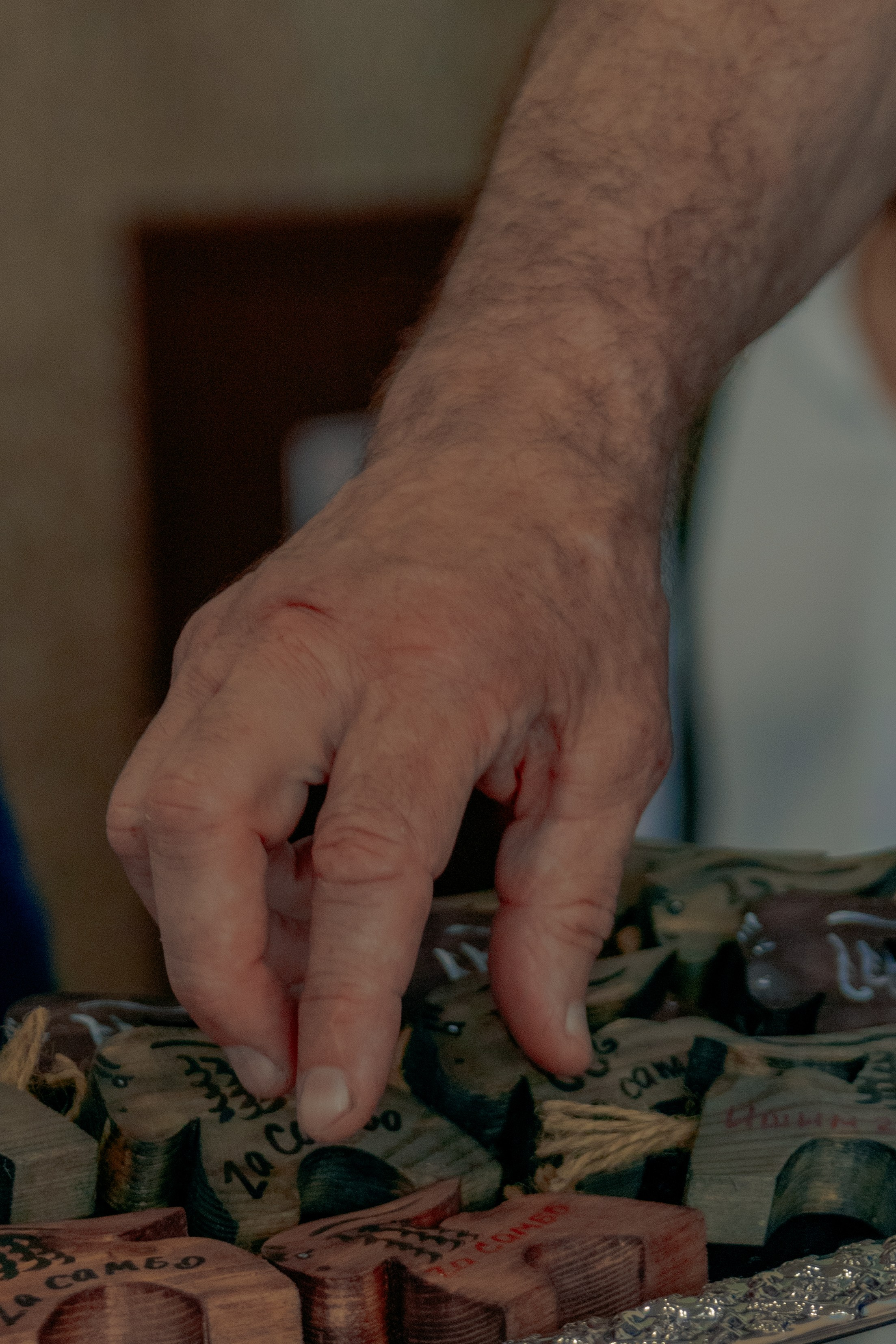 Самбо город Ишим