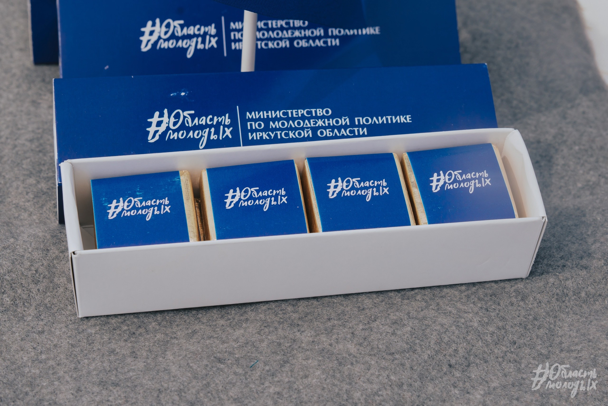 ОБЛАСТЬ МОЛОДЫХ. Портфолио