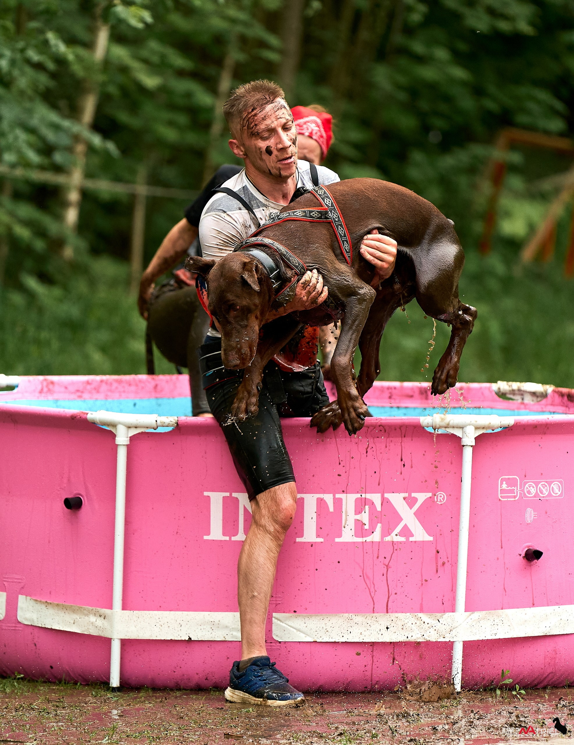 Russian Extreme Dog Trail — 2025