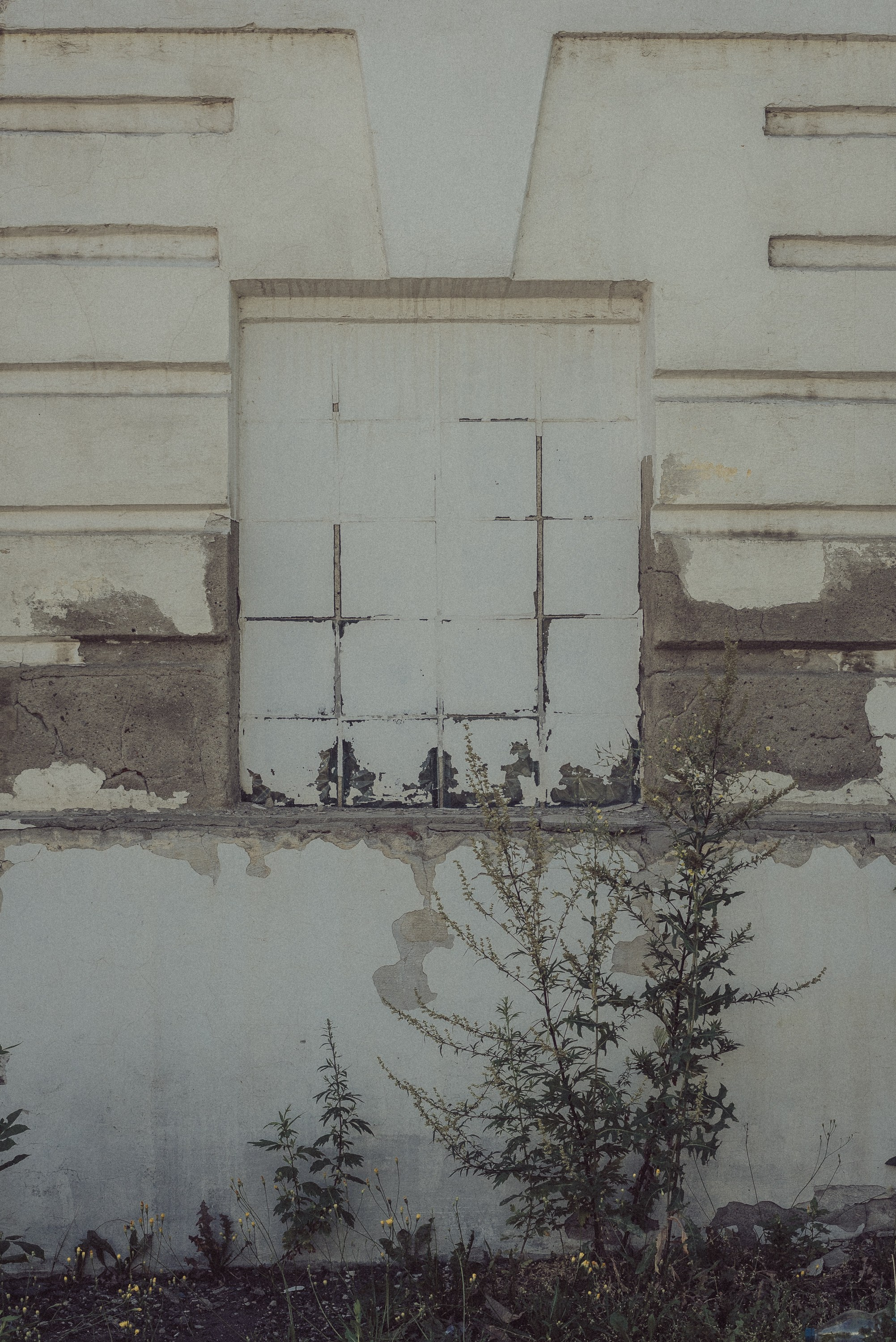 Проект #улицыгорода. Ярославль, улица Большая Фёдоровская. Документальный фотограф Илья Тихановский