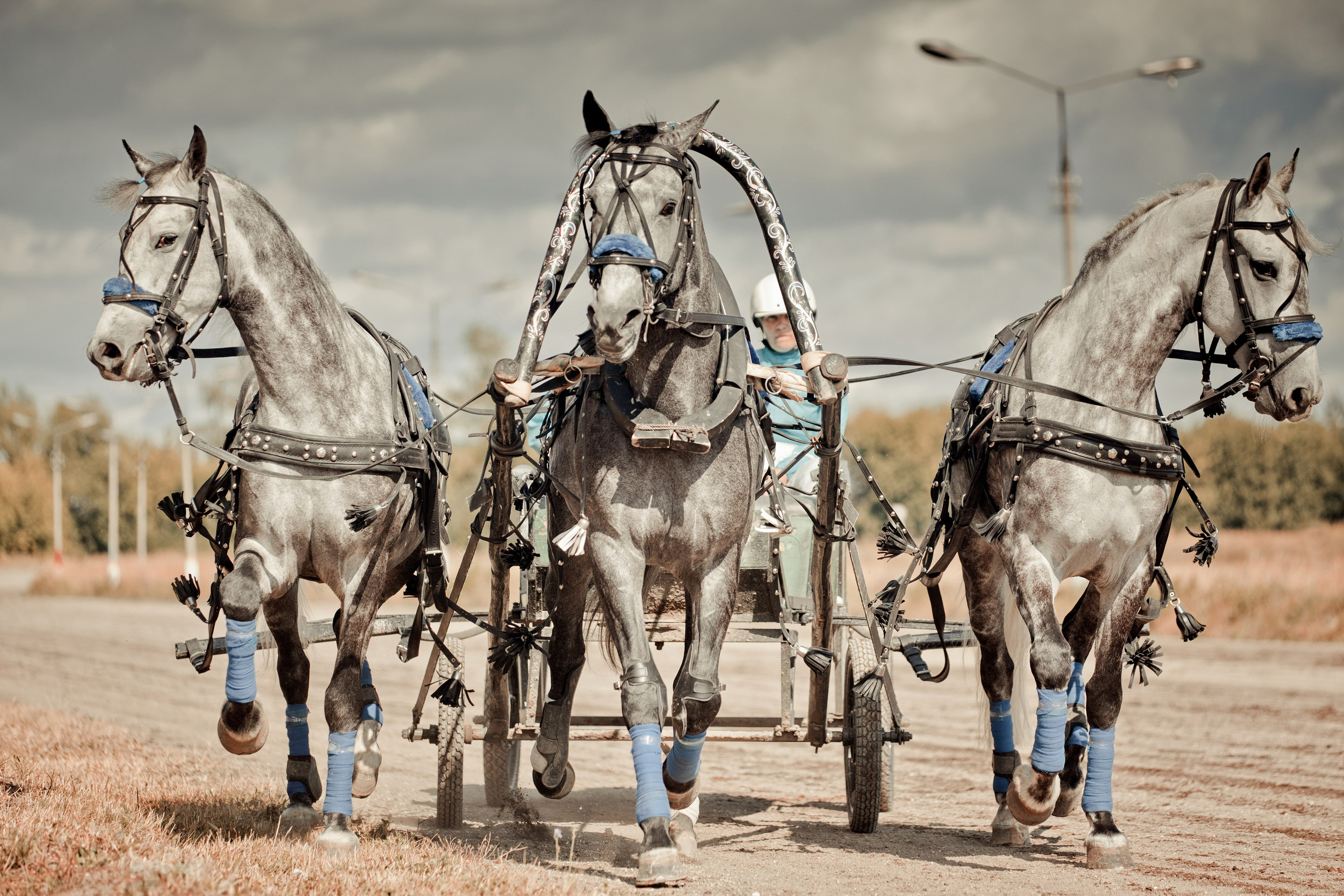 IV этап XV Чемпионата России русских троек «Раменское лето 2014». Детская Конная фотография в Москве Юлия Шепелева