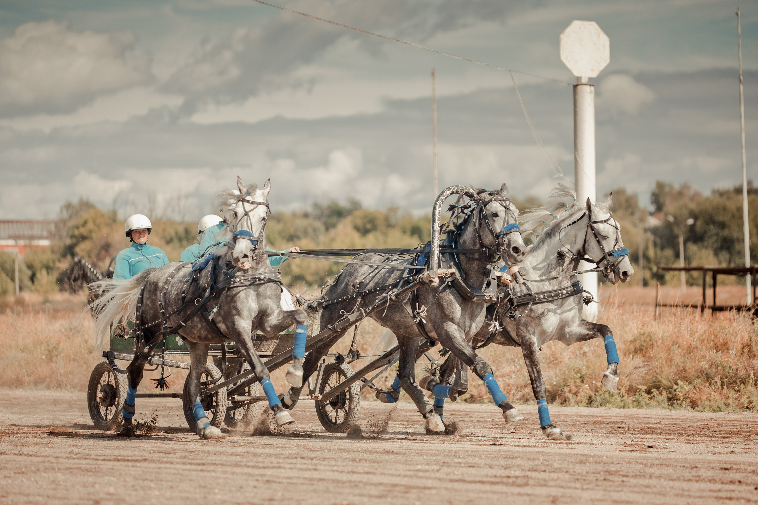 IV этап XV Чемпионата России русских троек «Раменское лето 2014». Детская Конная фотография в Москве Юлия Шепелева