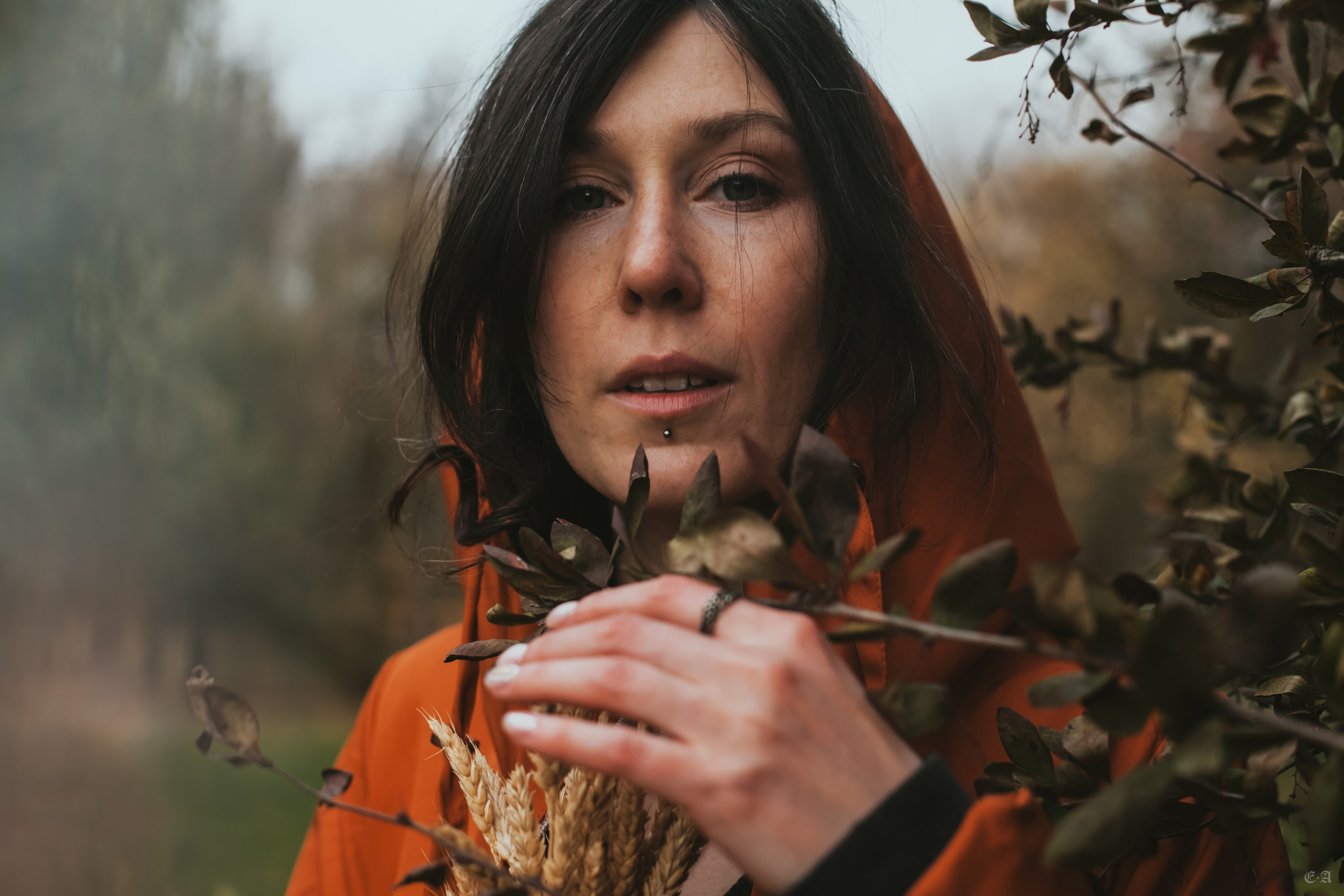 Осенние колосья для Белой Волчицы. Фотограф Ellairen