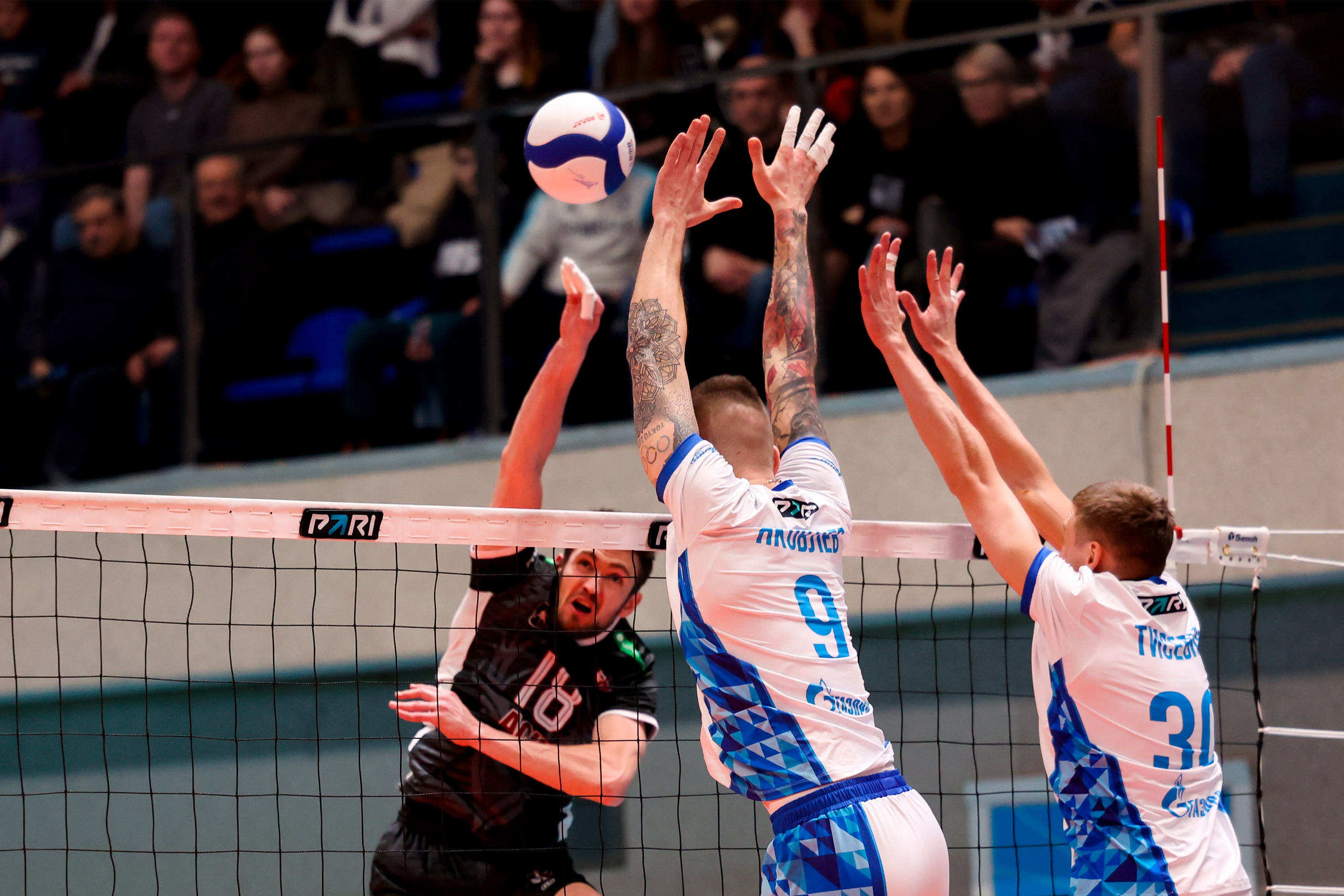 ВК Зенит — ВК АСК 15.03.2025. Спортивный и репортажный фотограф Антон Тереханов