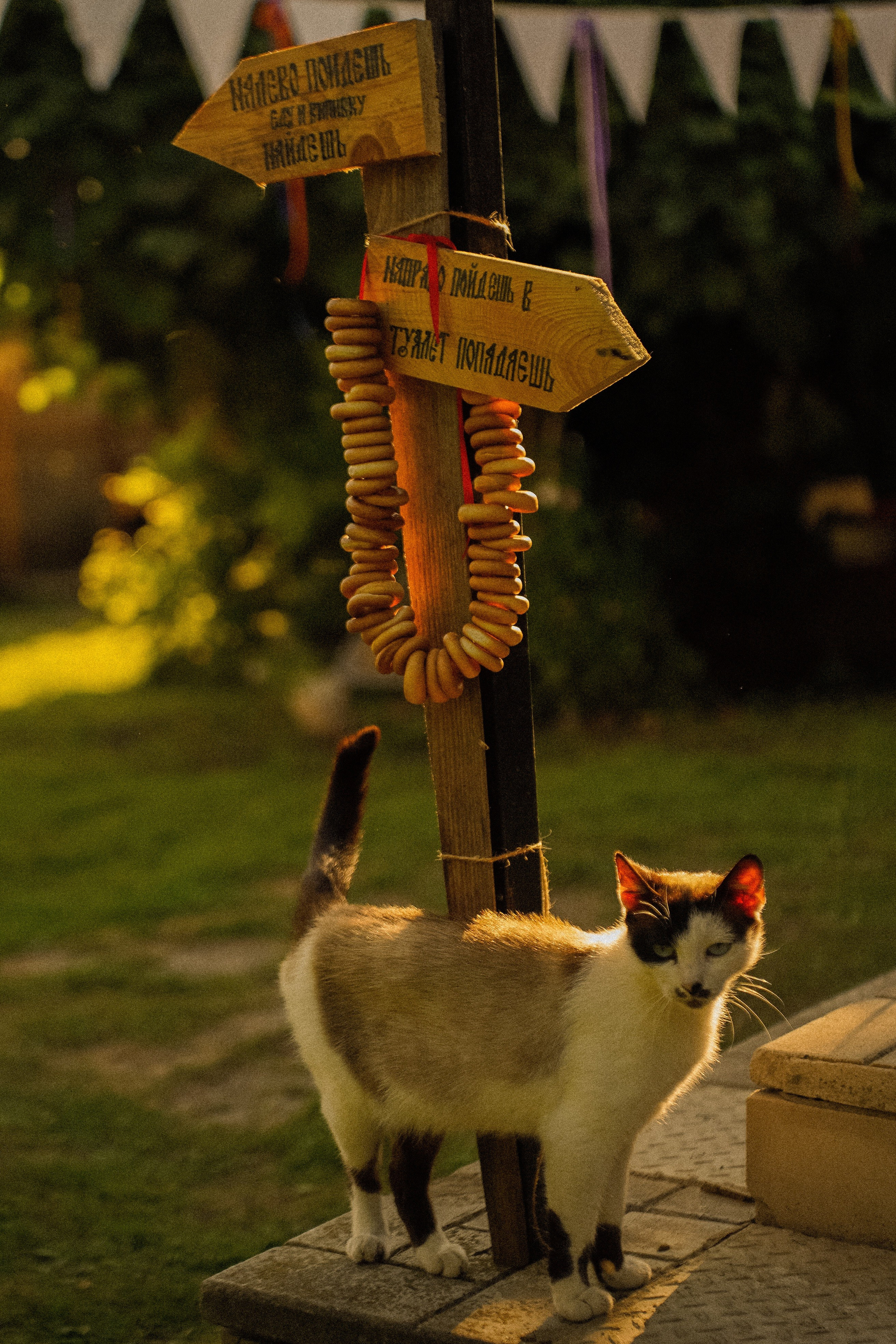 С любовью, по — русски. Свадебный фотограф