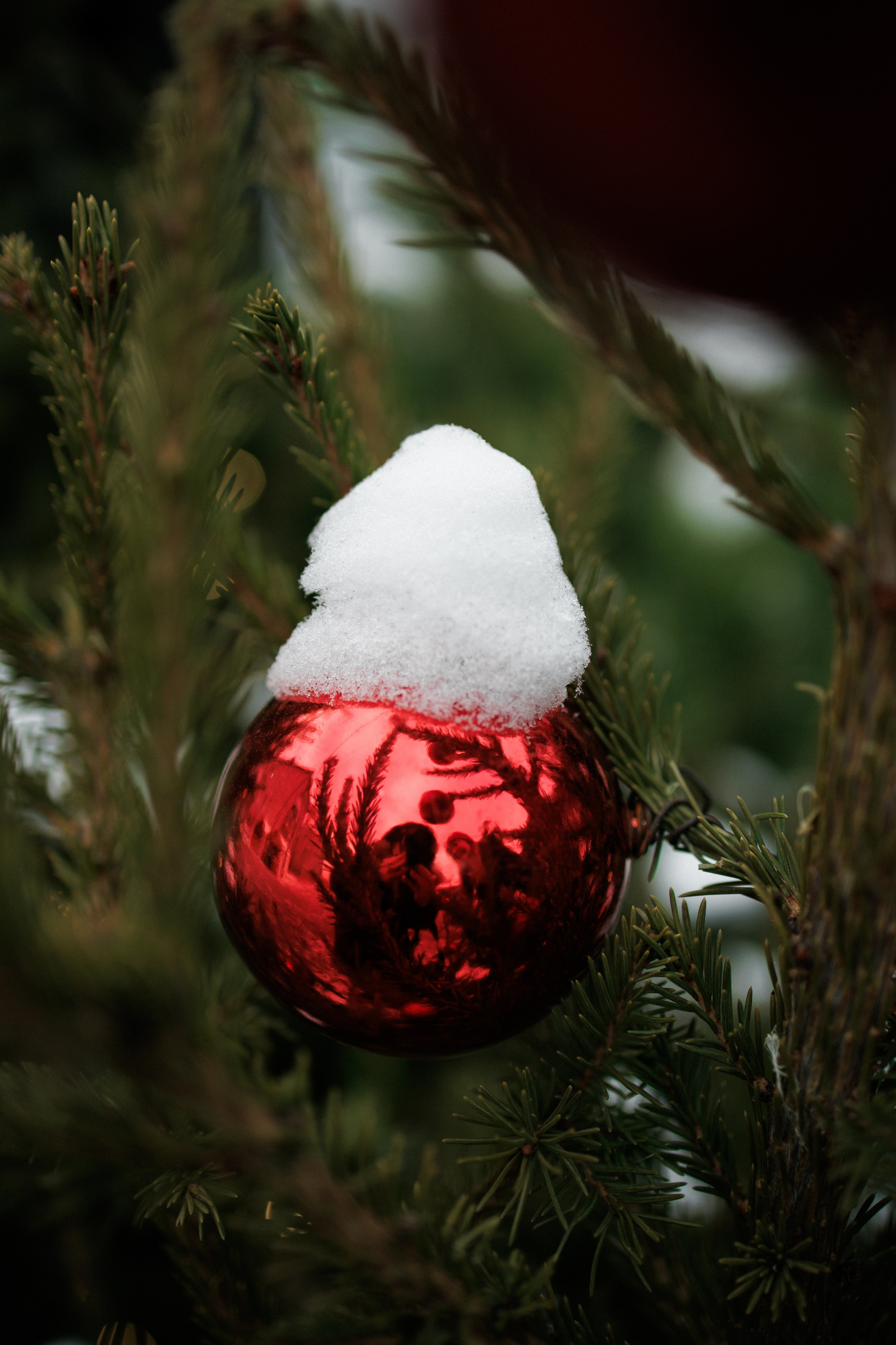 Зимняя фотопрогулка. Семейный фотограф г. Тюмень