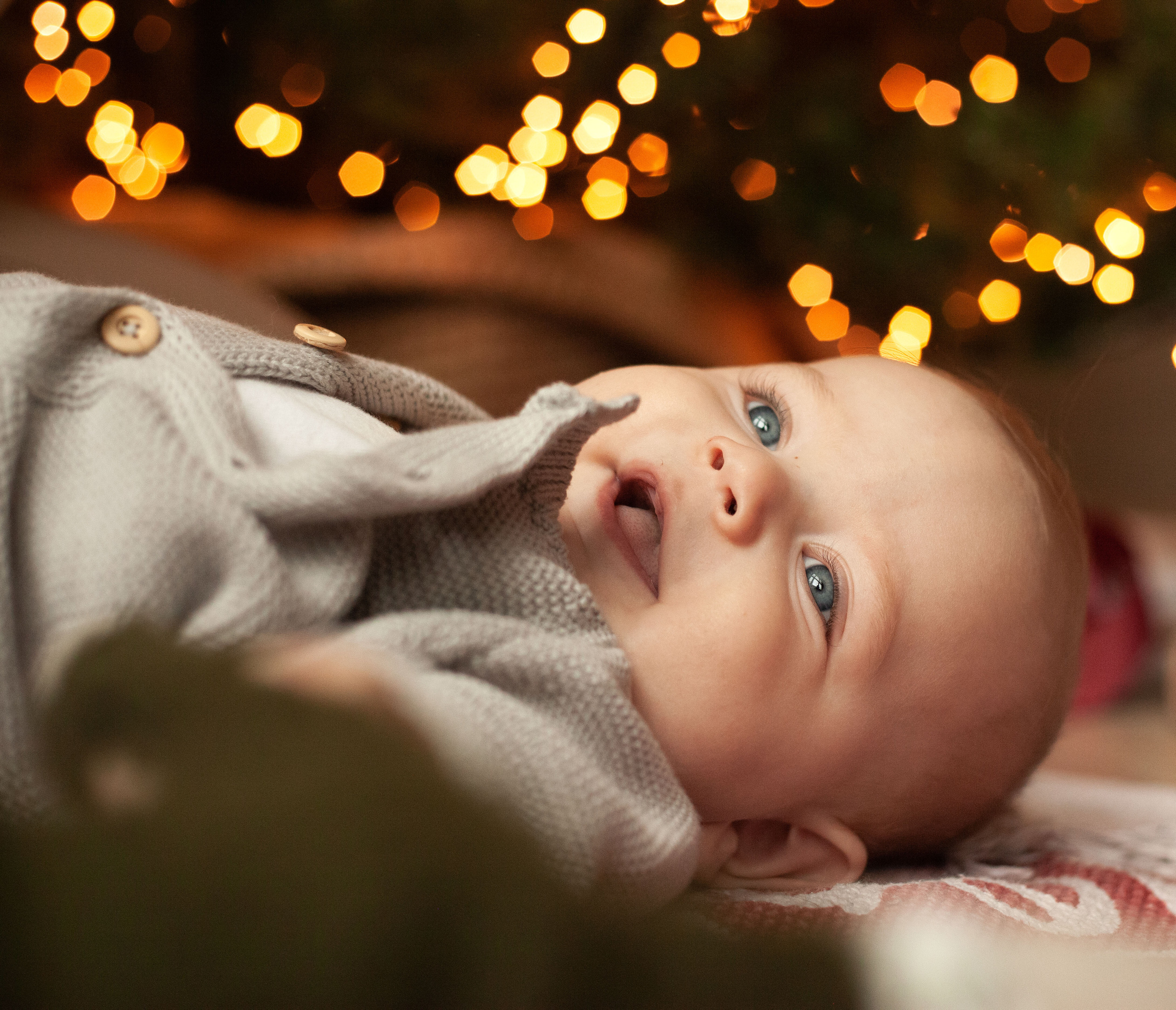 Семейная новогодняя история. Фотограф видеограф Ольга Василевская