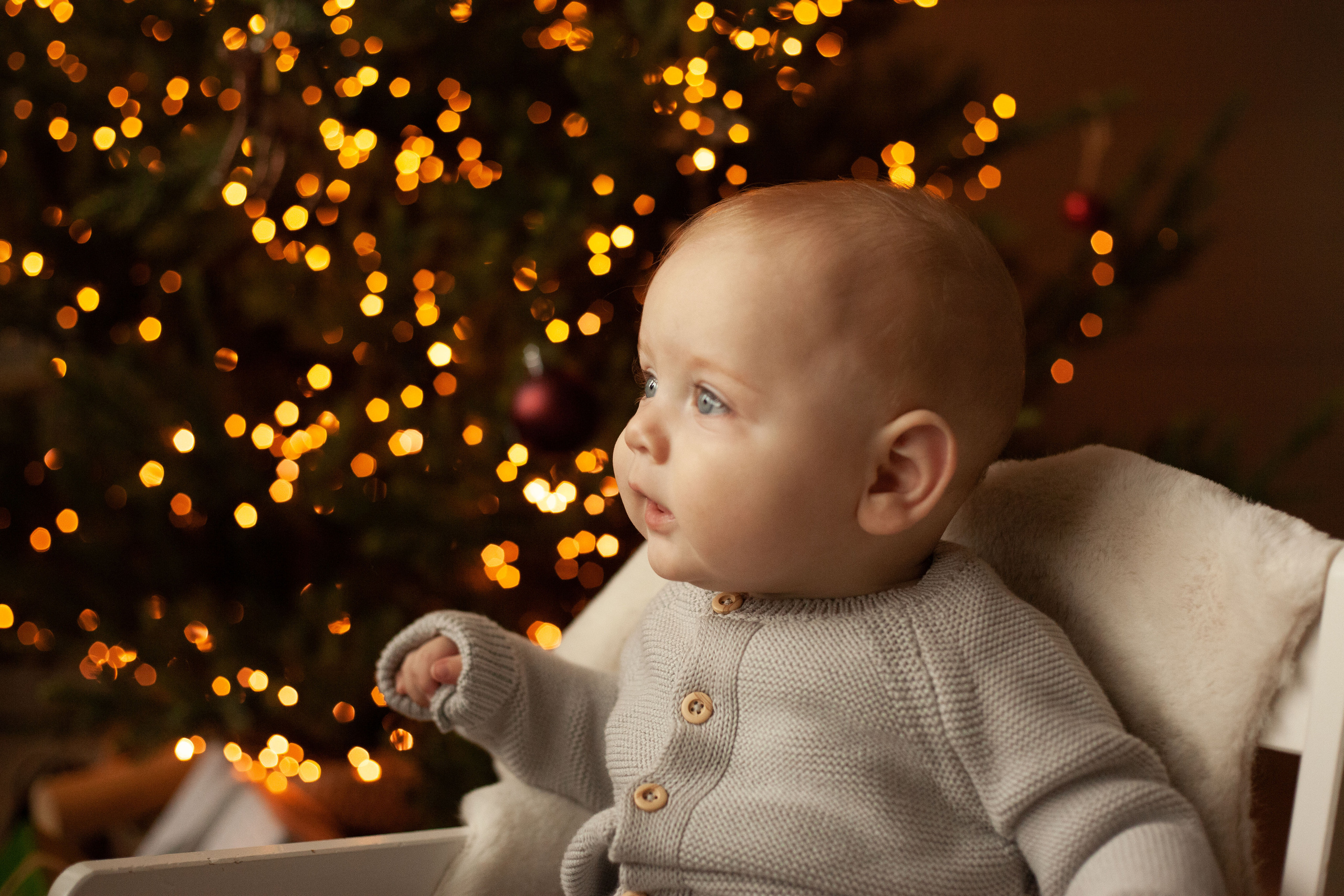 Семейная новогодняя история. Фотограф видеограф Ольга Василевская