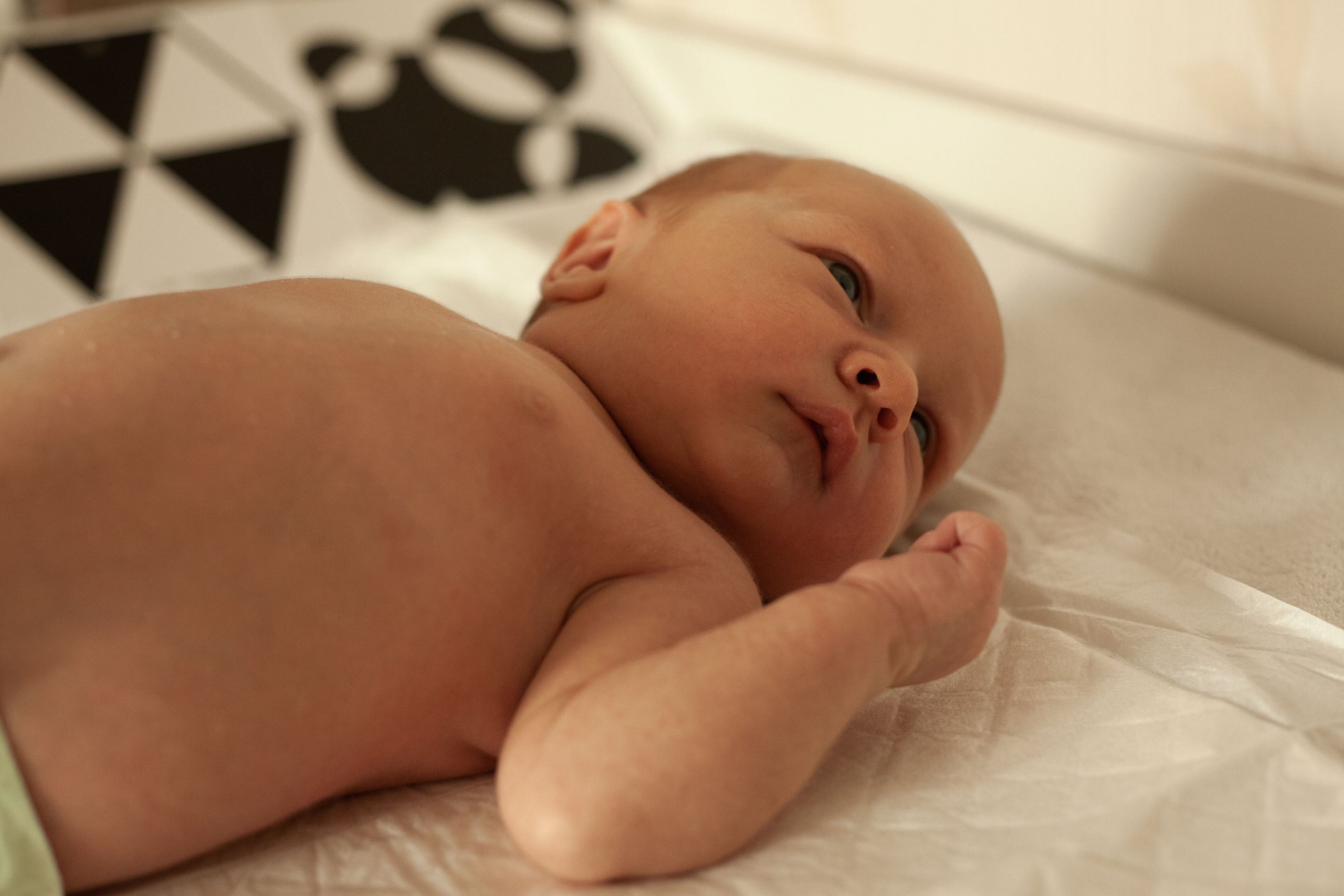 Newborn. Фотограф видеограф Ольга Василевская