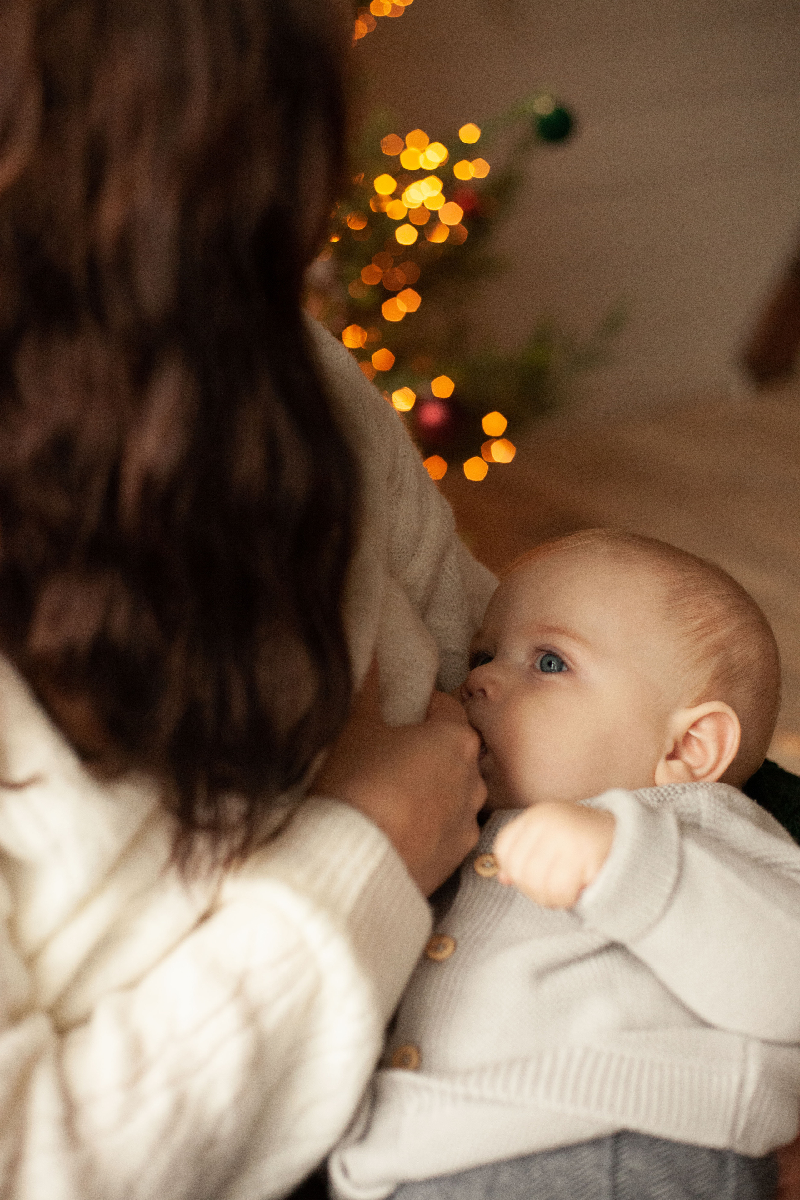 Семейная новогодняя история. Фотограф видеограф Ольга Василевская