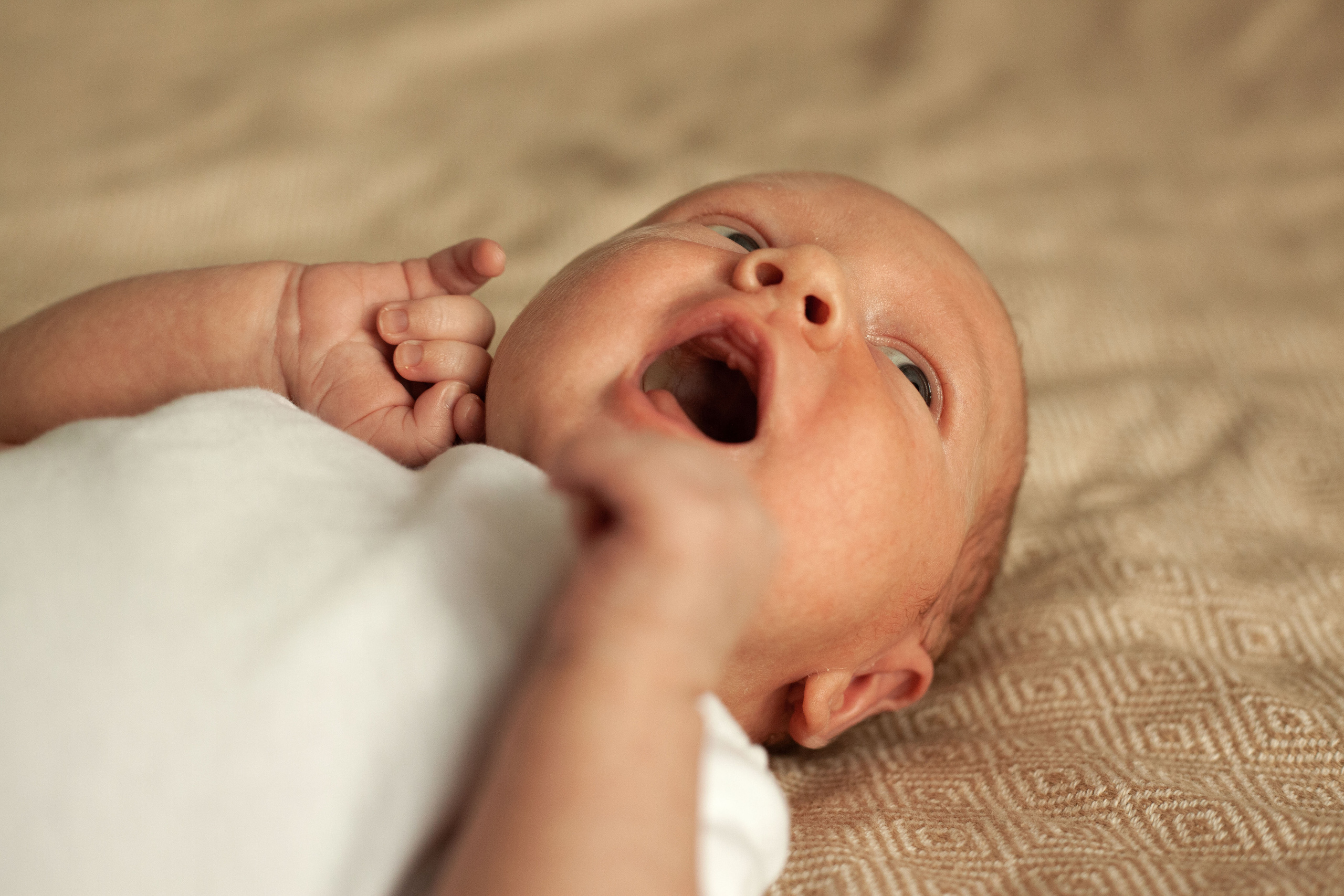 Newborn. Фотограф видеограф Ольга Василевская