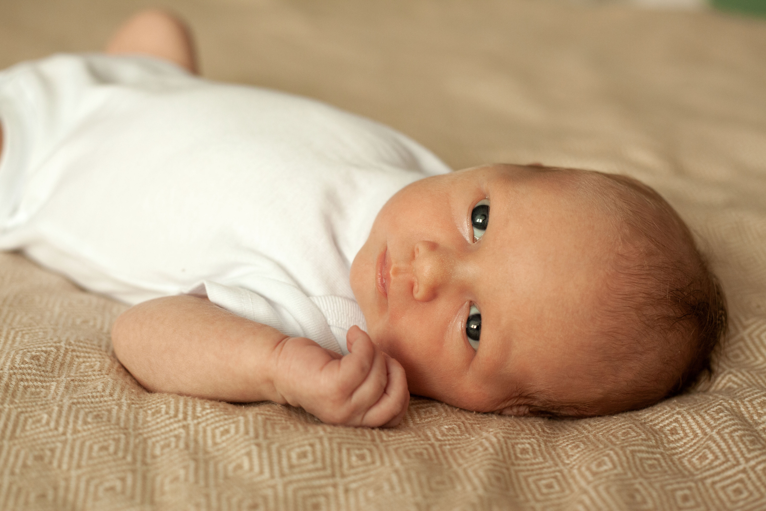 Newborn. Фотограф видеограф Ольга Василевская