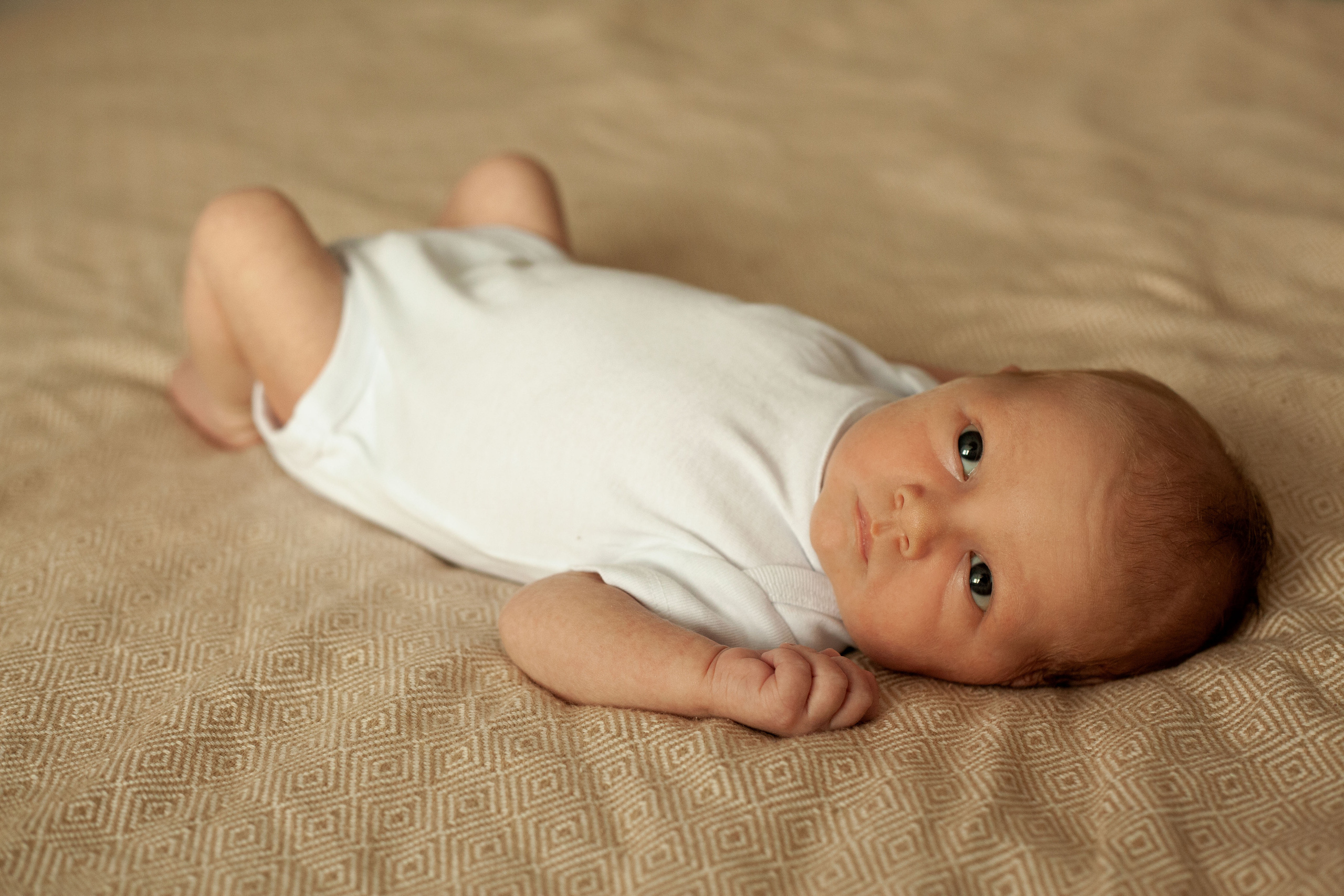 Newborn. Фотограф видеограф Ольга Василевская