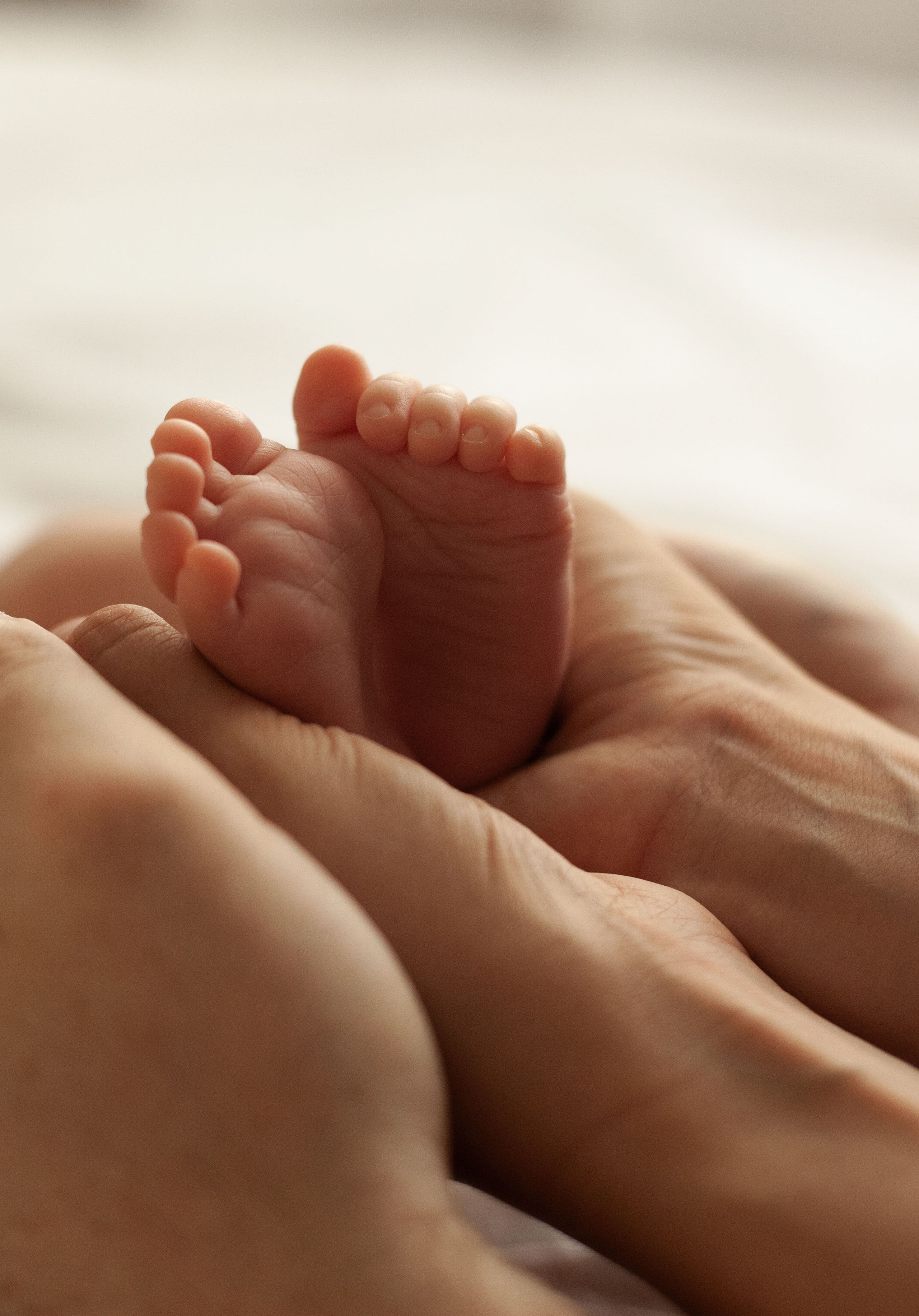 Newborn 14 дней. Фотограф видеограф Ольга Василевская