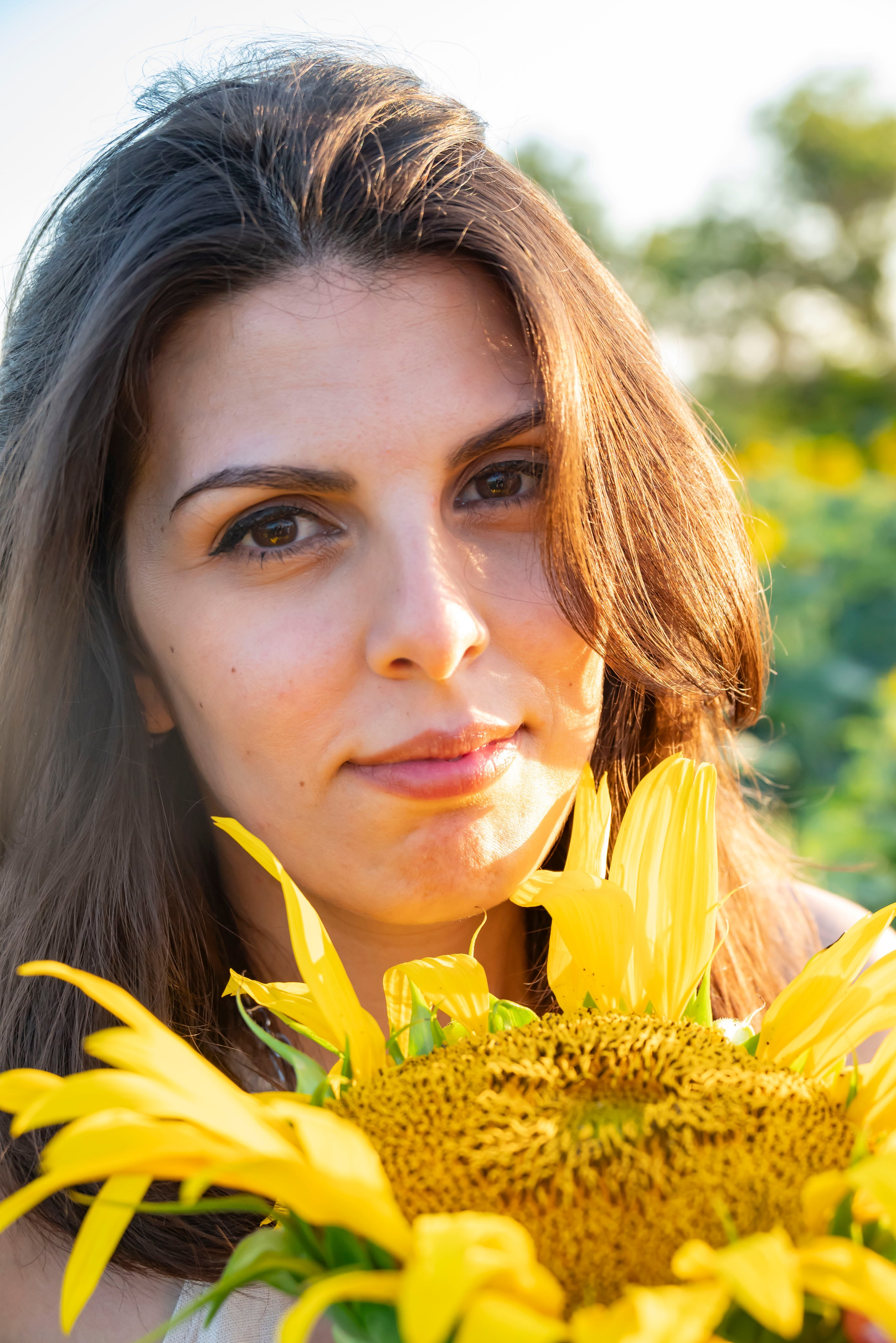 Летняя прогулка. Главная