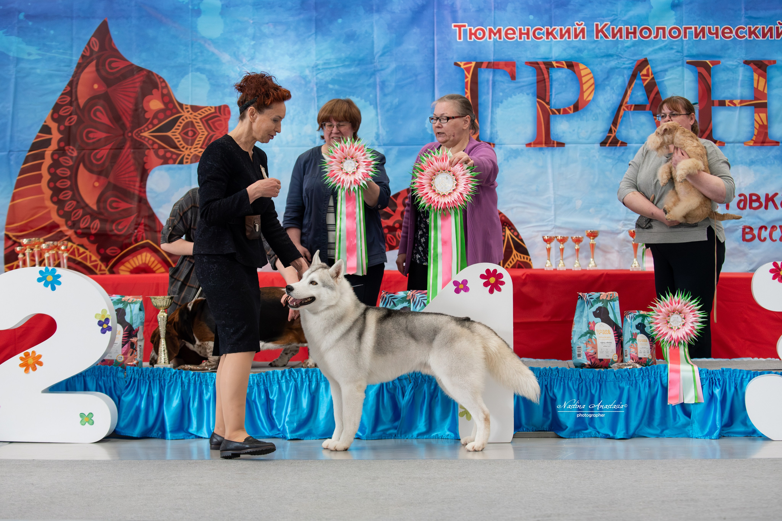 Выставки. Фотограф — Анималист