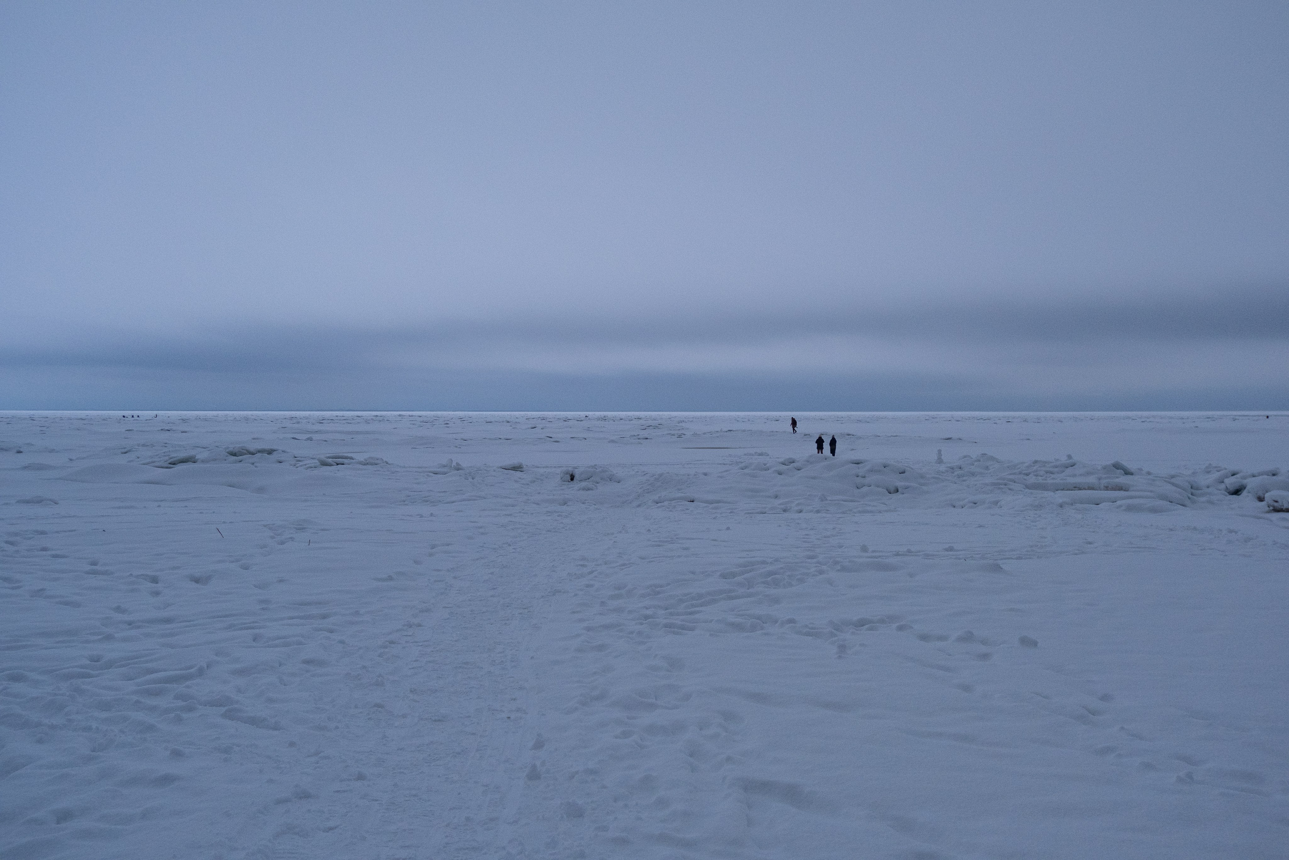 Комарово. Портретный и архитектурный фотограф в Москве и Санкт-Петербурге