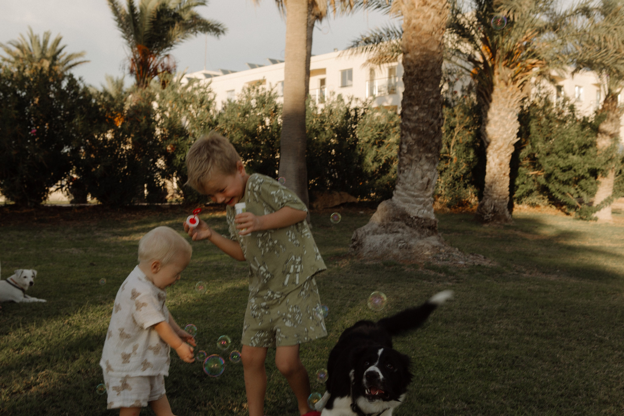 Melymko fam. Portrait, family and pet photographer in Cyprus, Ksenia Bourdelle