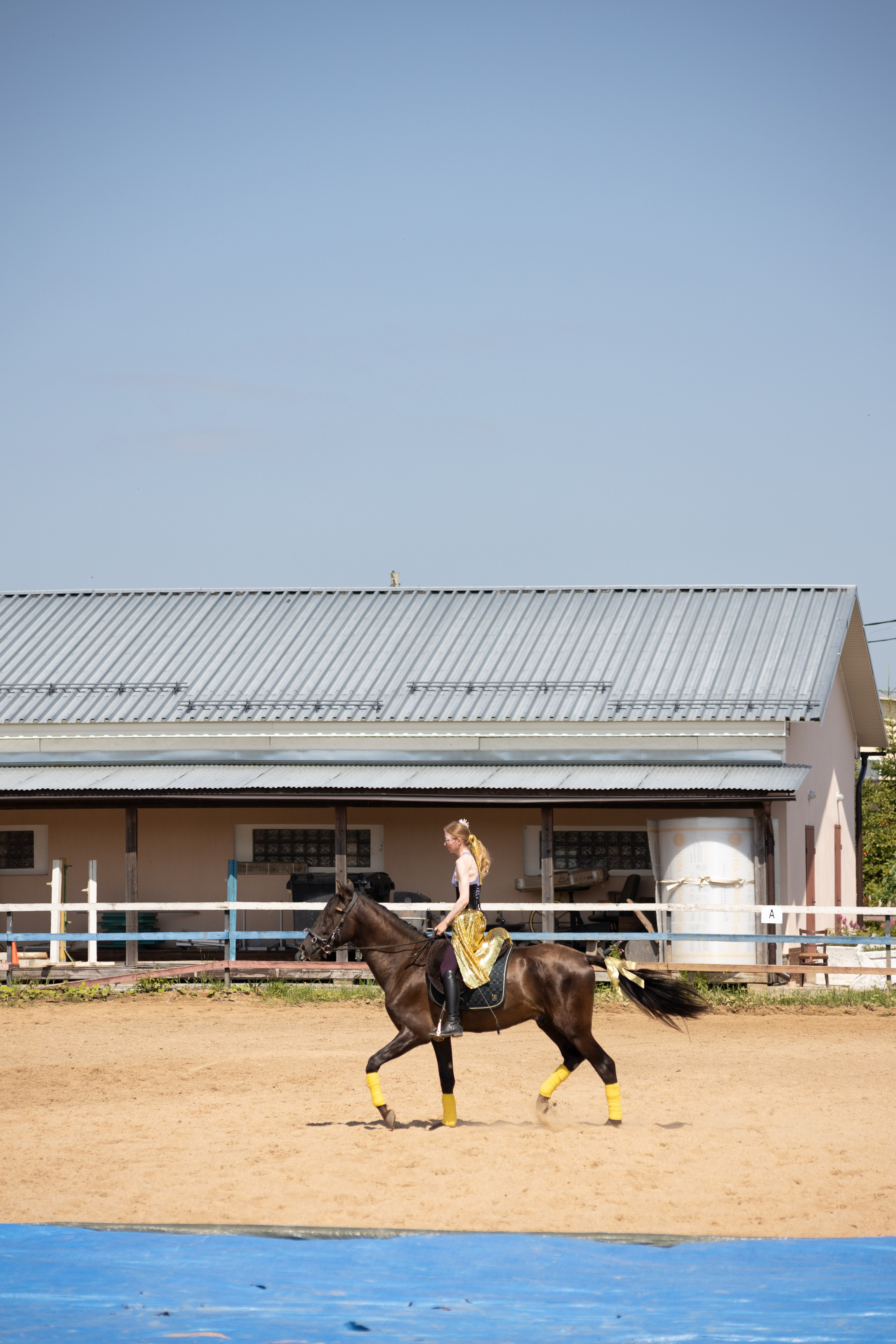 Конюшня. Фотограф в Москве и Истре